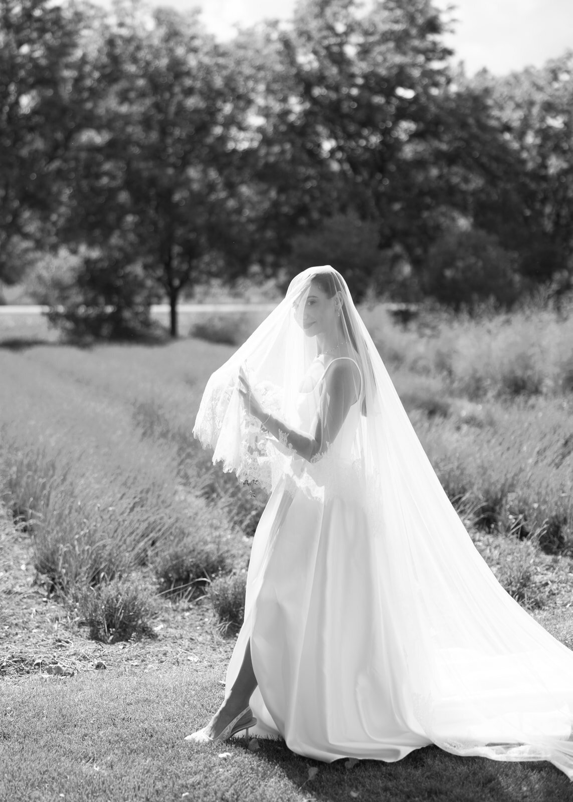 6.28-Amanda-Dominic-Boulder-Flower-Farm-Wedding-277