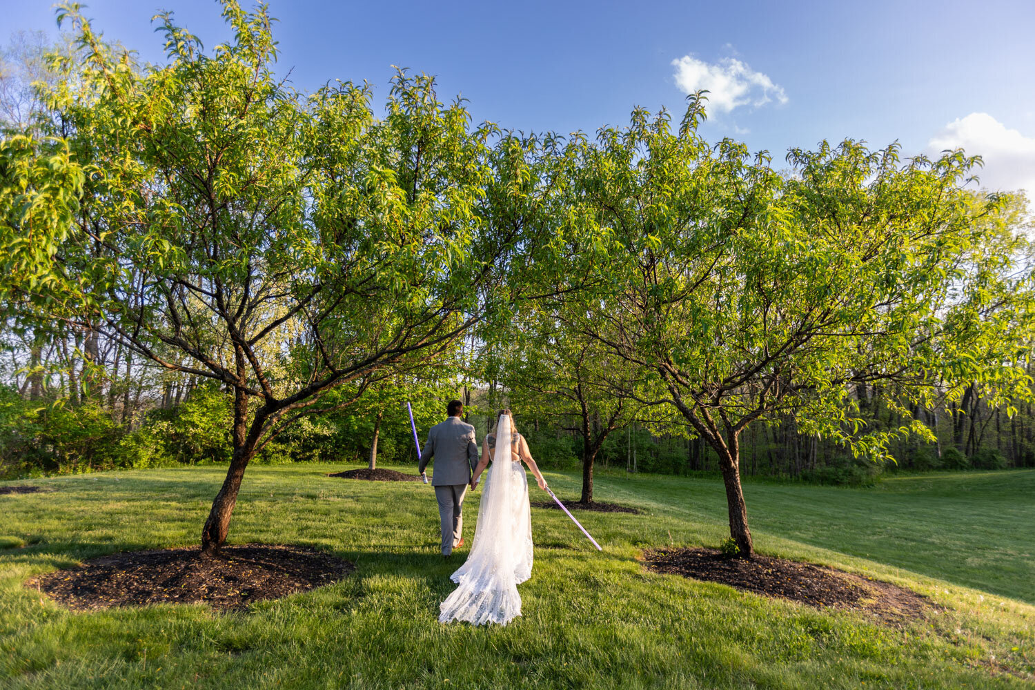 Bride and groom walking together under two trees in a sunlit field