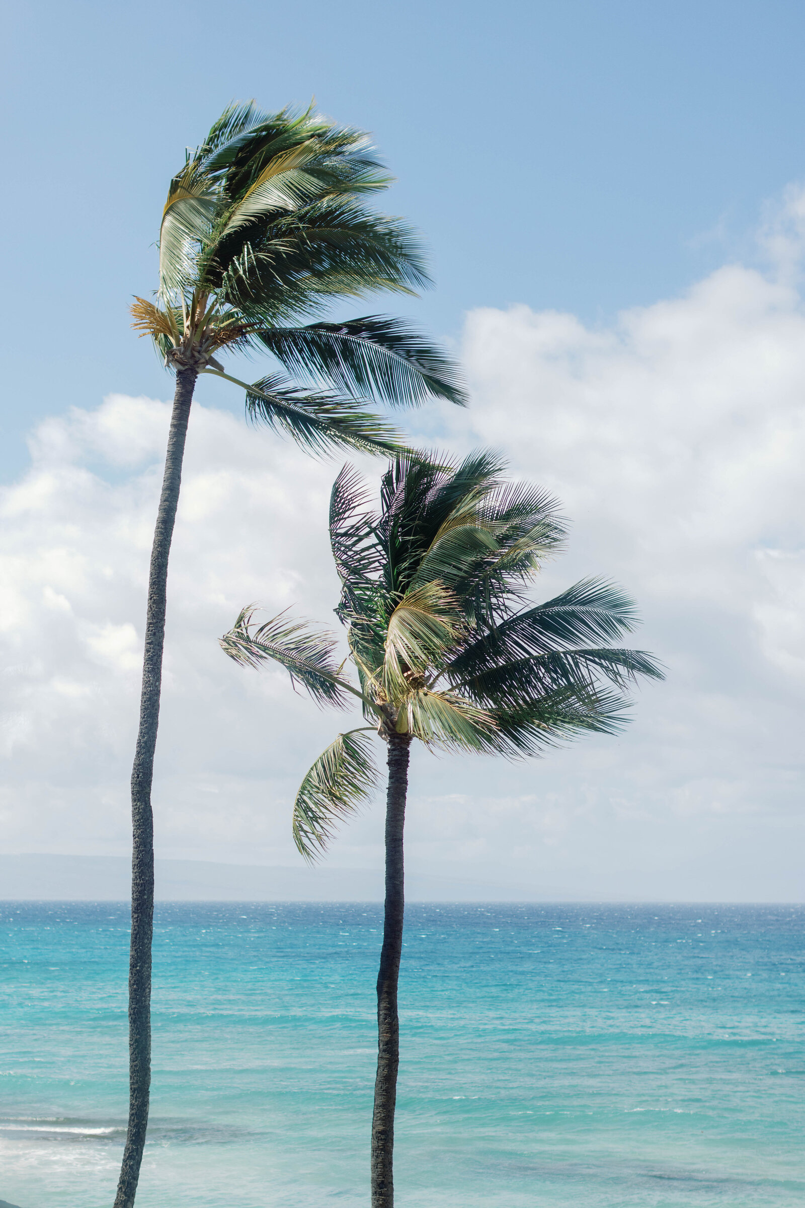 Maui-Plantation-Wedding-Sarah-Block-Photography-5
