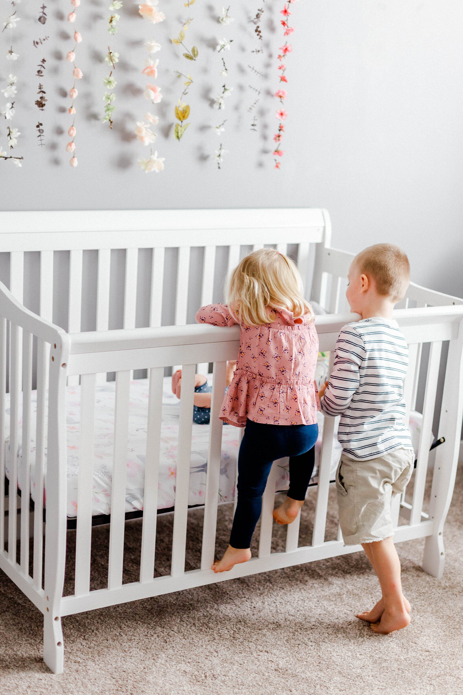 san jose newborn photographer fresh 48