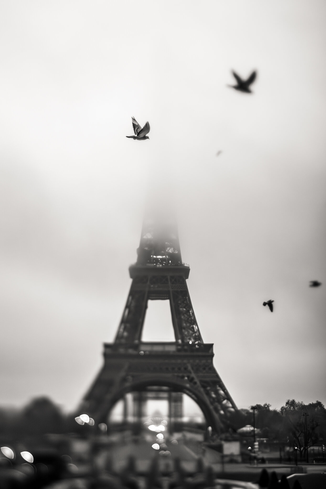 fine_art_photographer _116