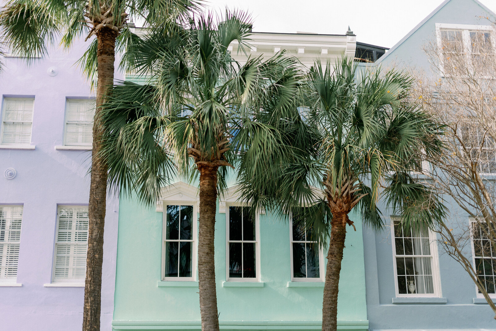 rachaelosborn.com-winter2020-4