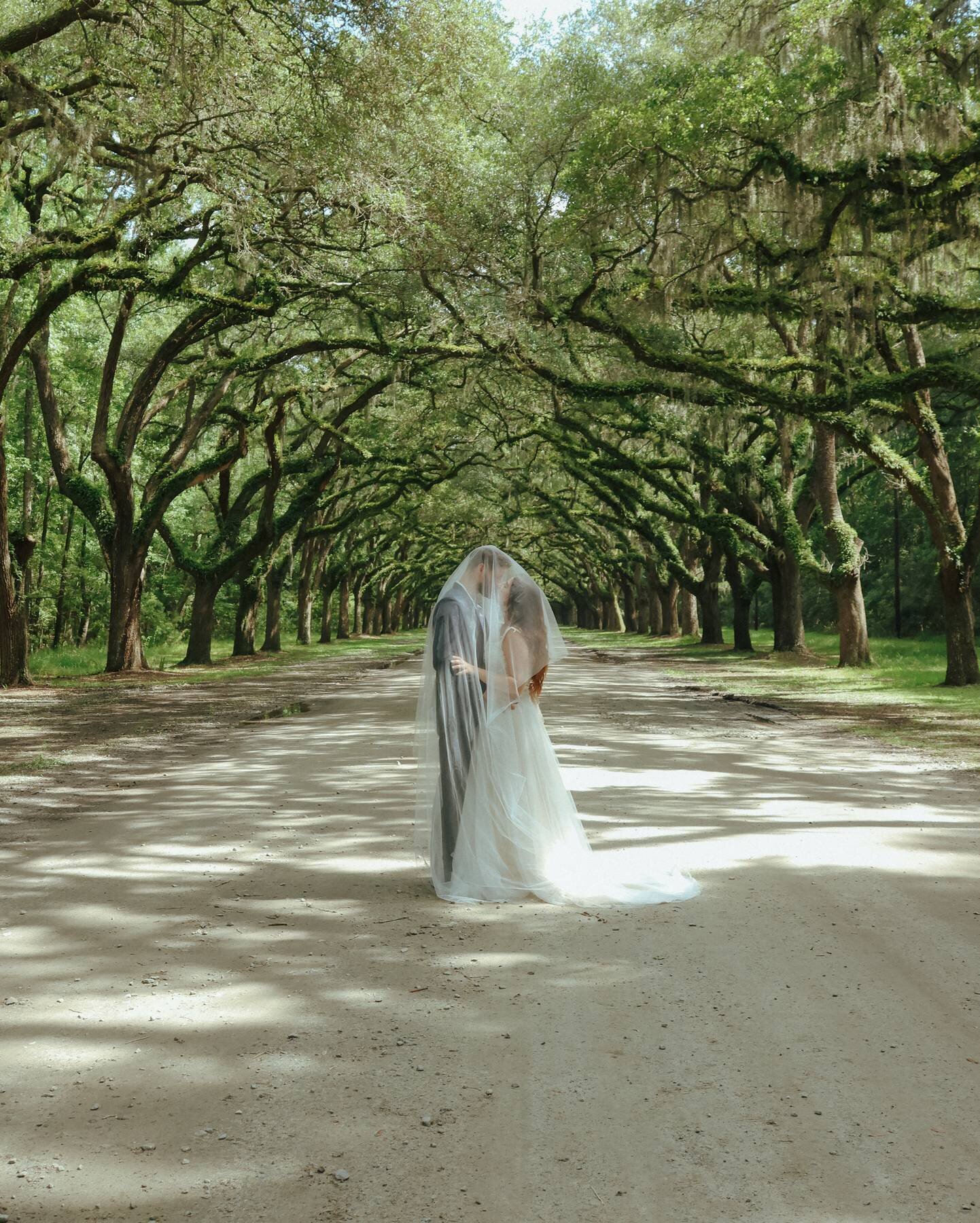 Bailey-Dawn-Photography 31 01 2023 04 31 18 4