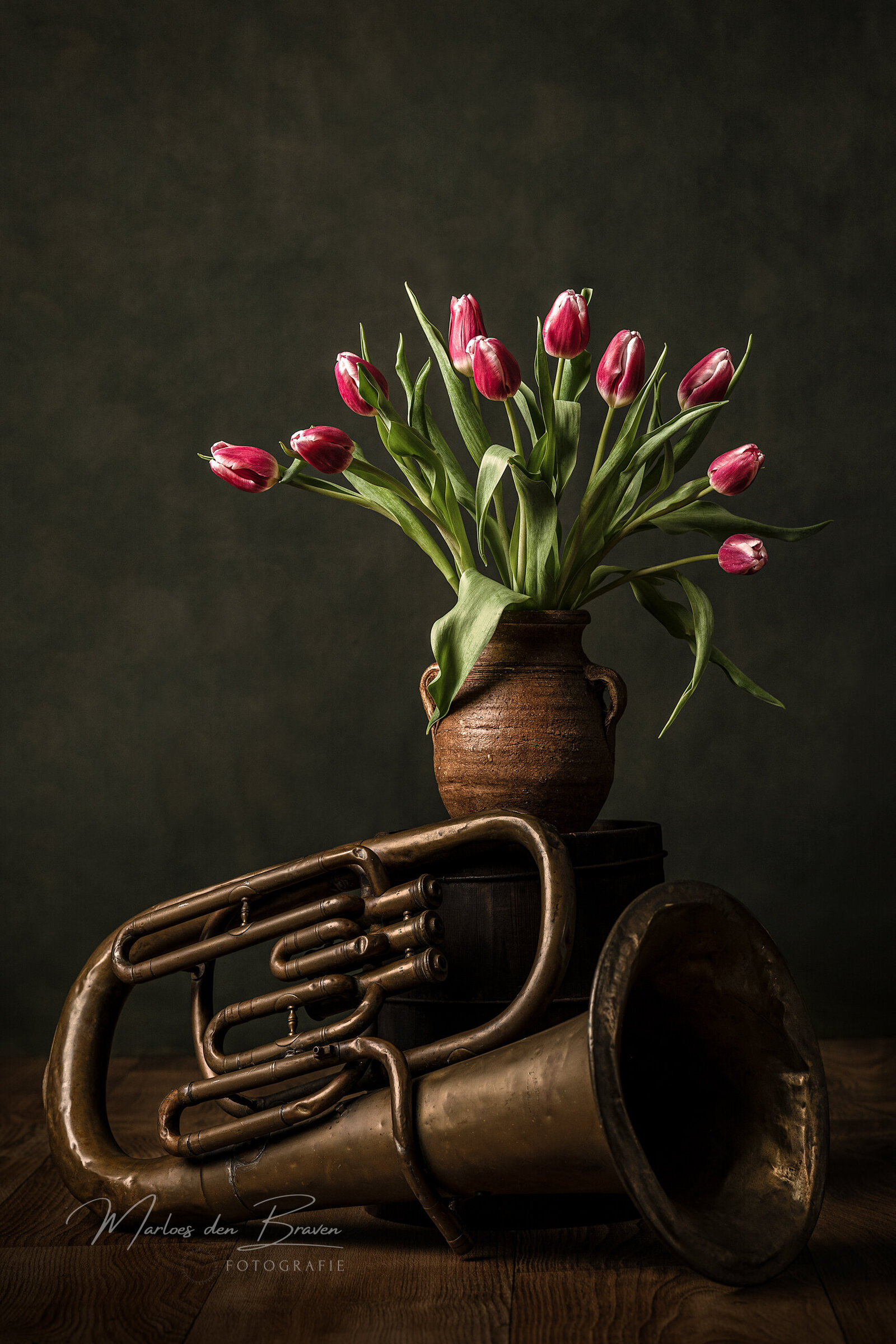 foto kunst tuba tulpen