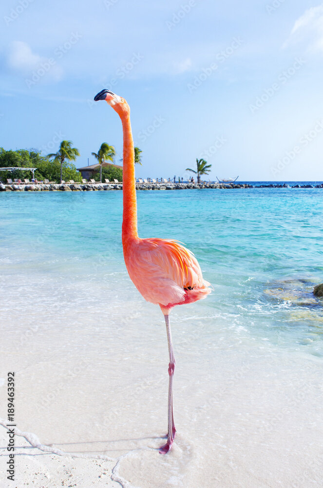 AdobeStock_189463392_Preview