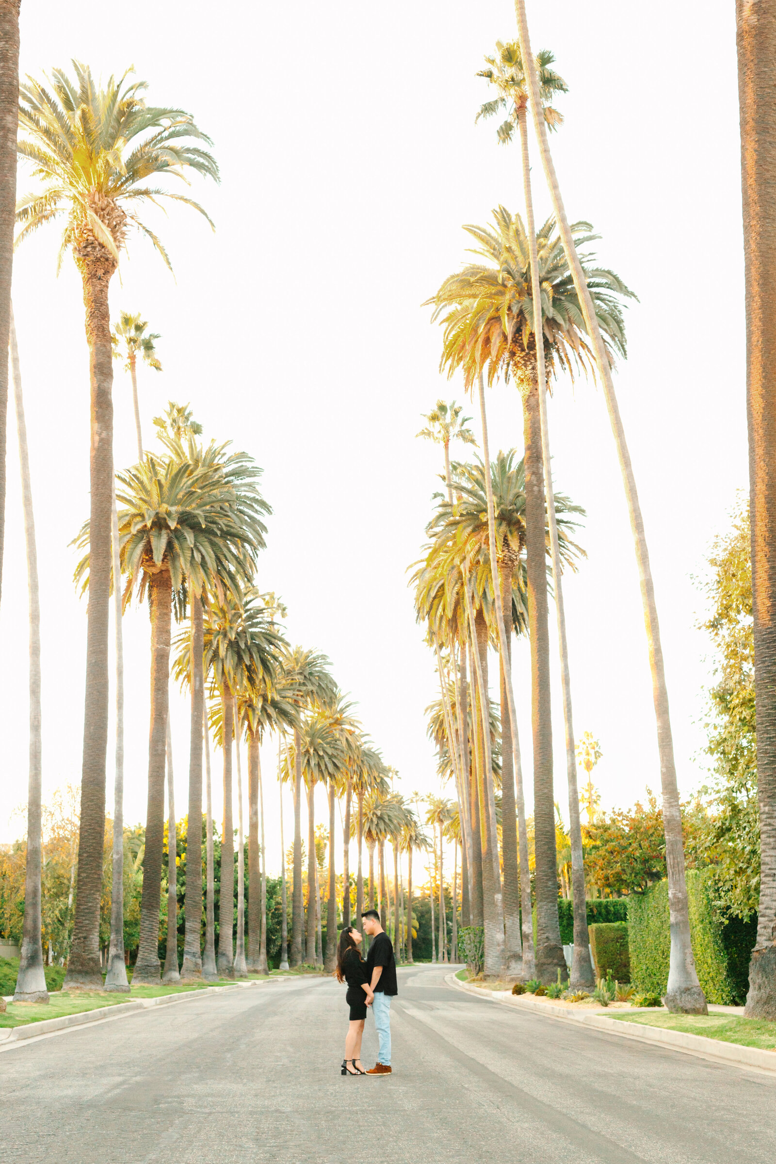 Los Angeles Beverly Hills 15