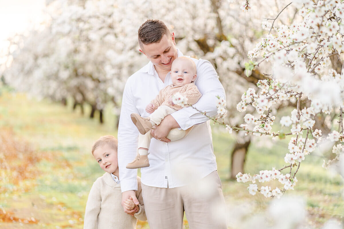 dad holding his two sons in the white blossoms in brisbane during family session