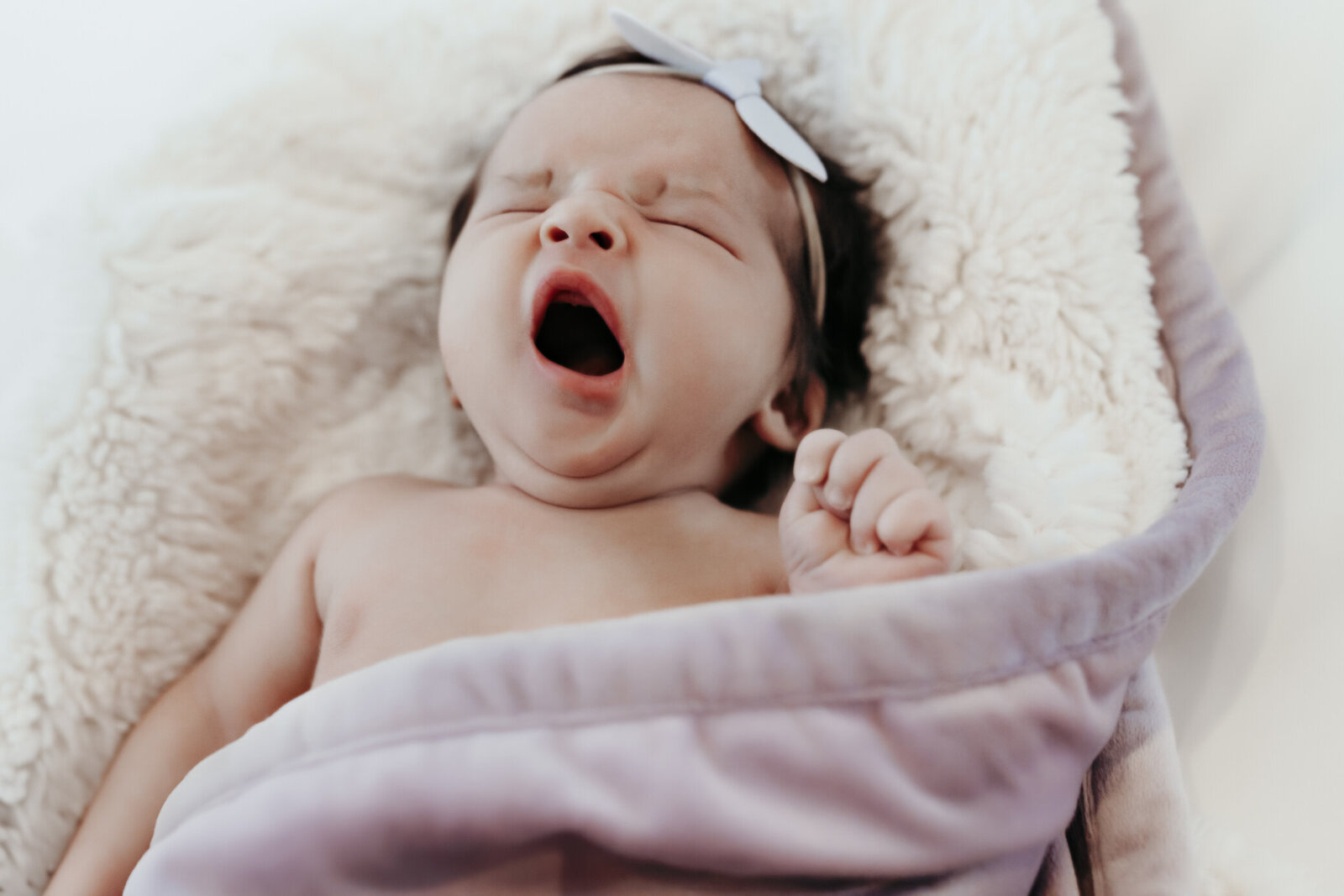 newborn-photography-nightingale-and-willow-photography-loft-18-studio-fortville (5 of 184)
