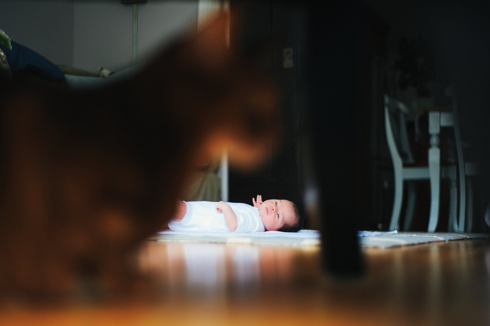 Jesse_Holland_Photography-290