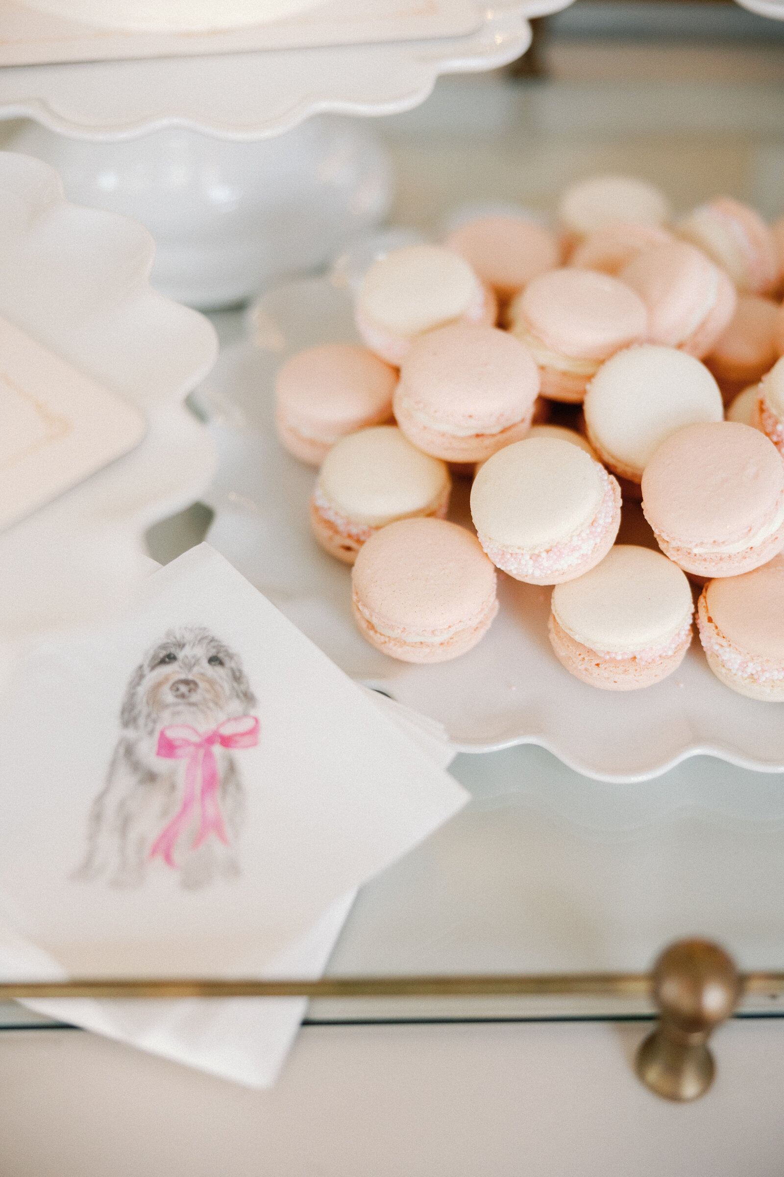 party planner - event coordinator - event planning - indianapolis -10