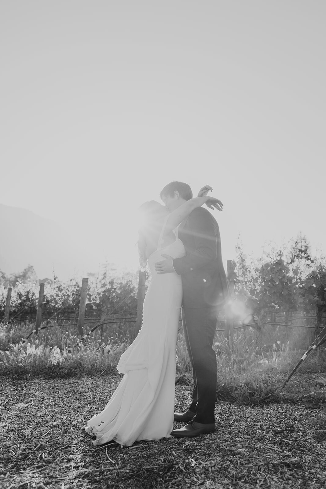 Colorful Bernardus Spring Wedding84
