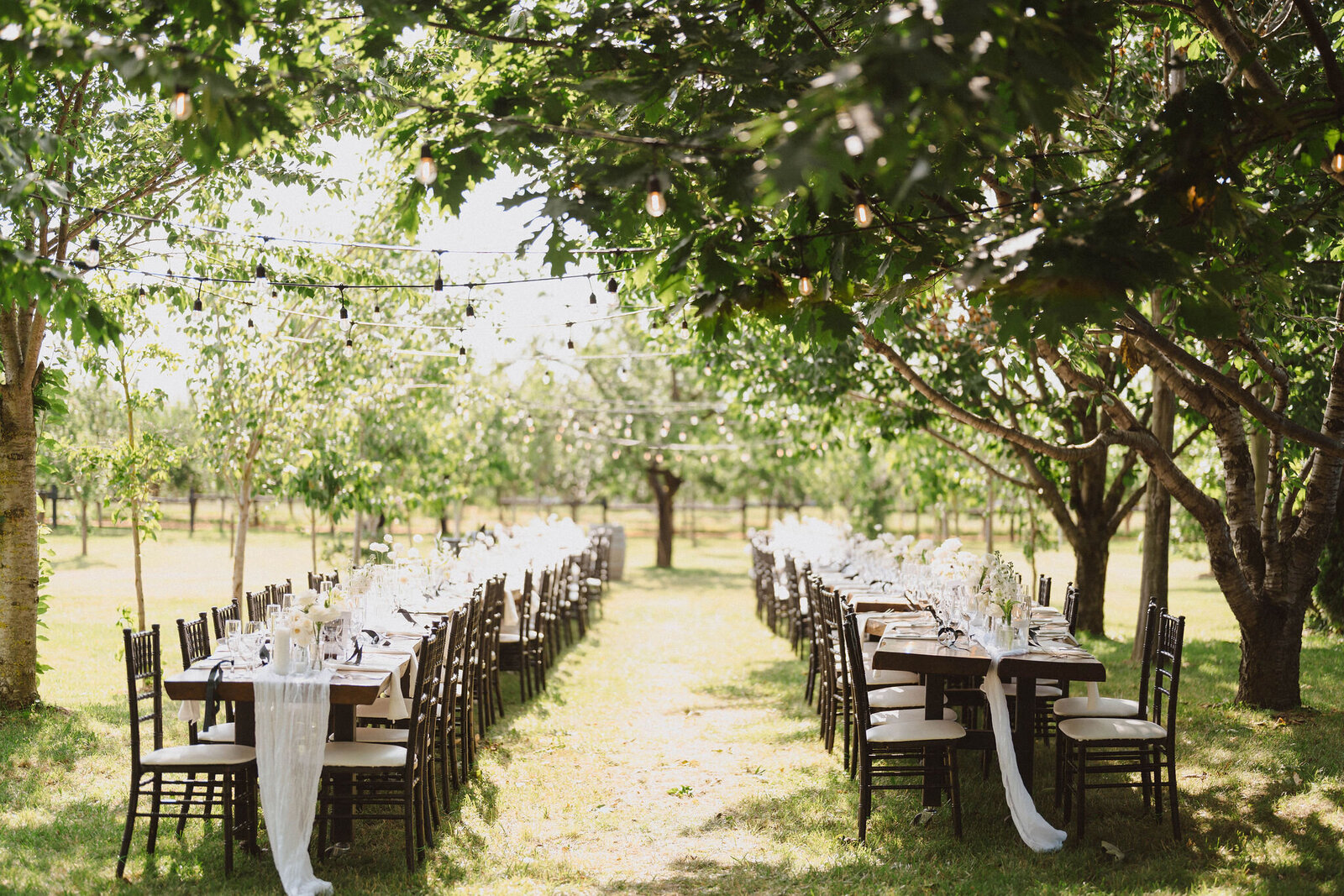 Niagara Wedding Planner