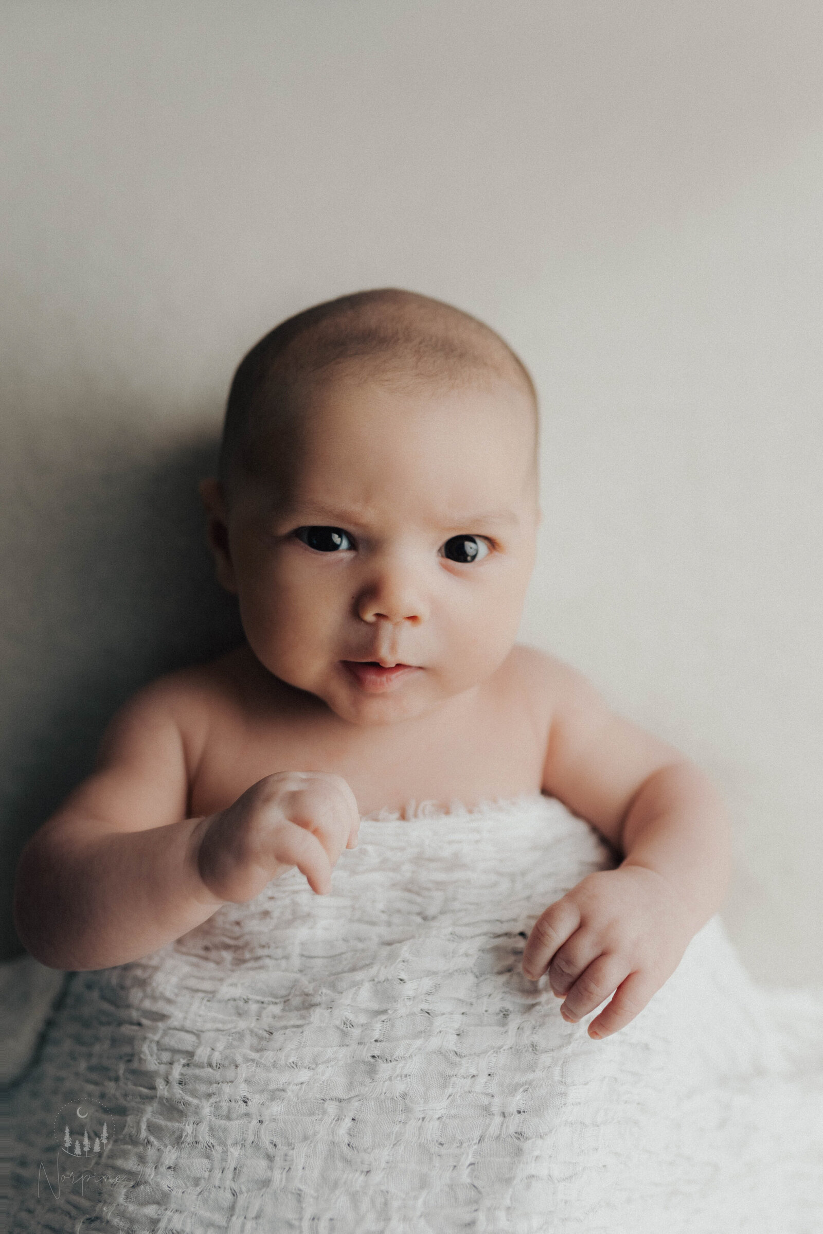 a newborn boy with a white wrap, light blonde hair, and white backdrop, laying on his back, looking up at the camera. Image watermarked by norpine photography of gaylord michigan