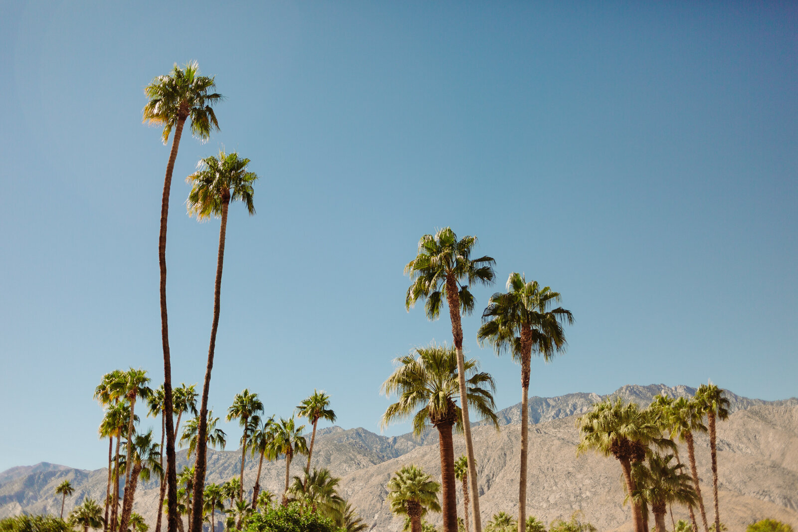 palm-springs-mountains-danielle-motif-1