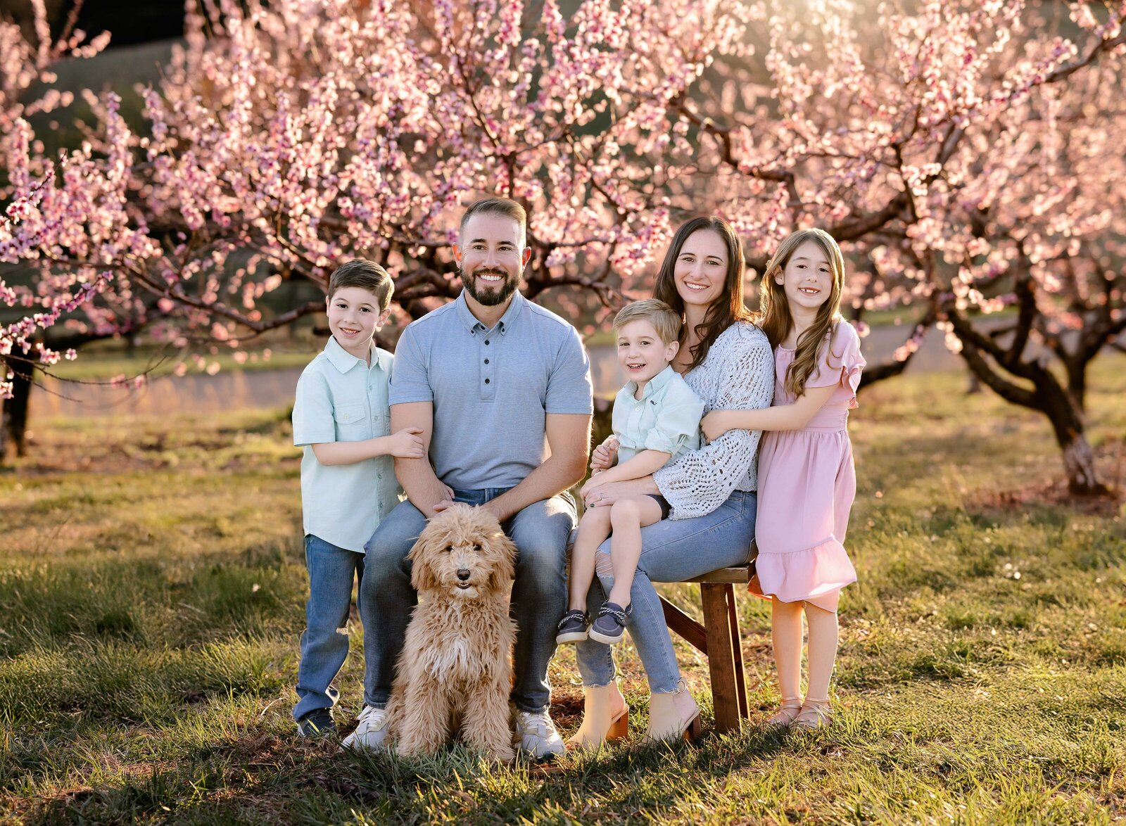 Family posing on bench in cherry blossom field. Family photo taken by Jenni Nikki Photography near Atlanta, GA.