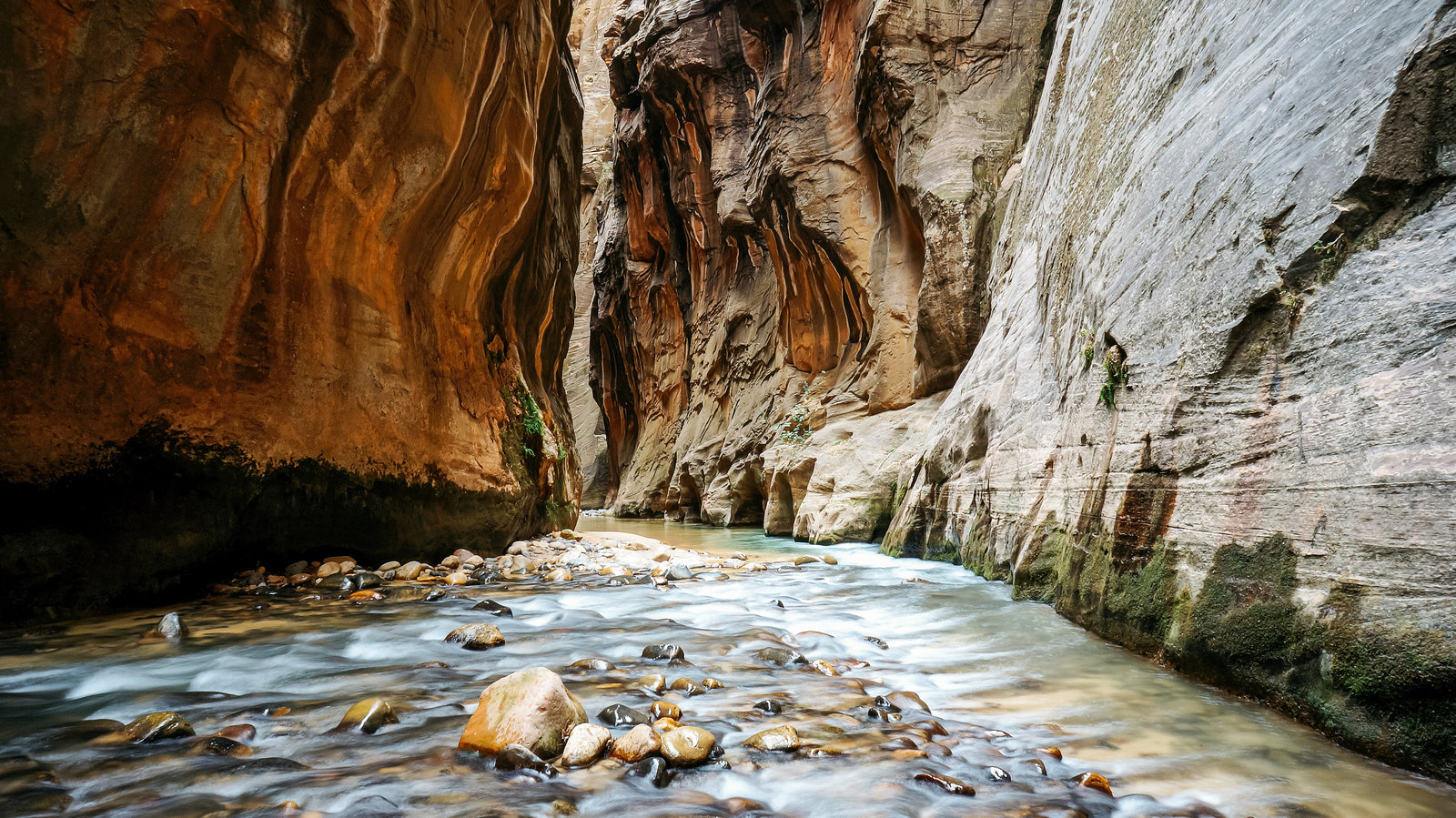 Sasha_Reiko_Photography_Travel_Utah_Arches_Canyon_Lands_Zion_Grand_Canyon-62
