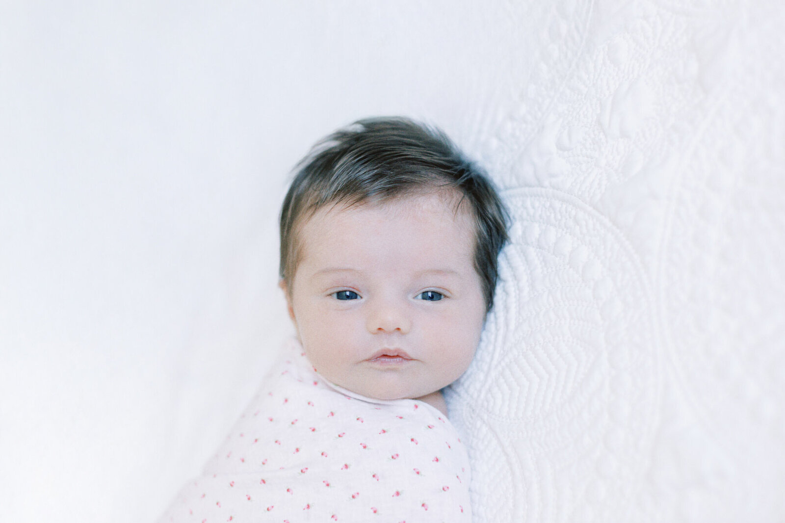 newborn-portraits_119