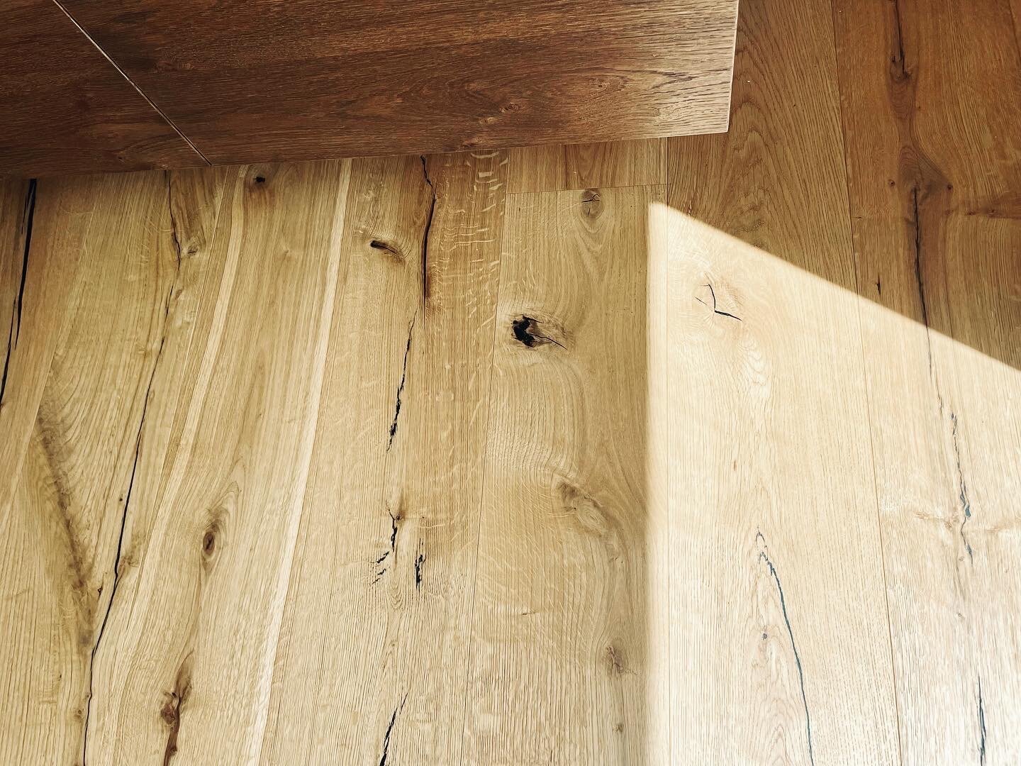 E50E9DFE-E179-44FD-AFCA-E36E1F84BCF1