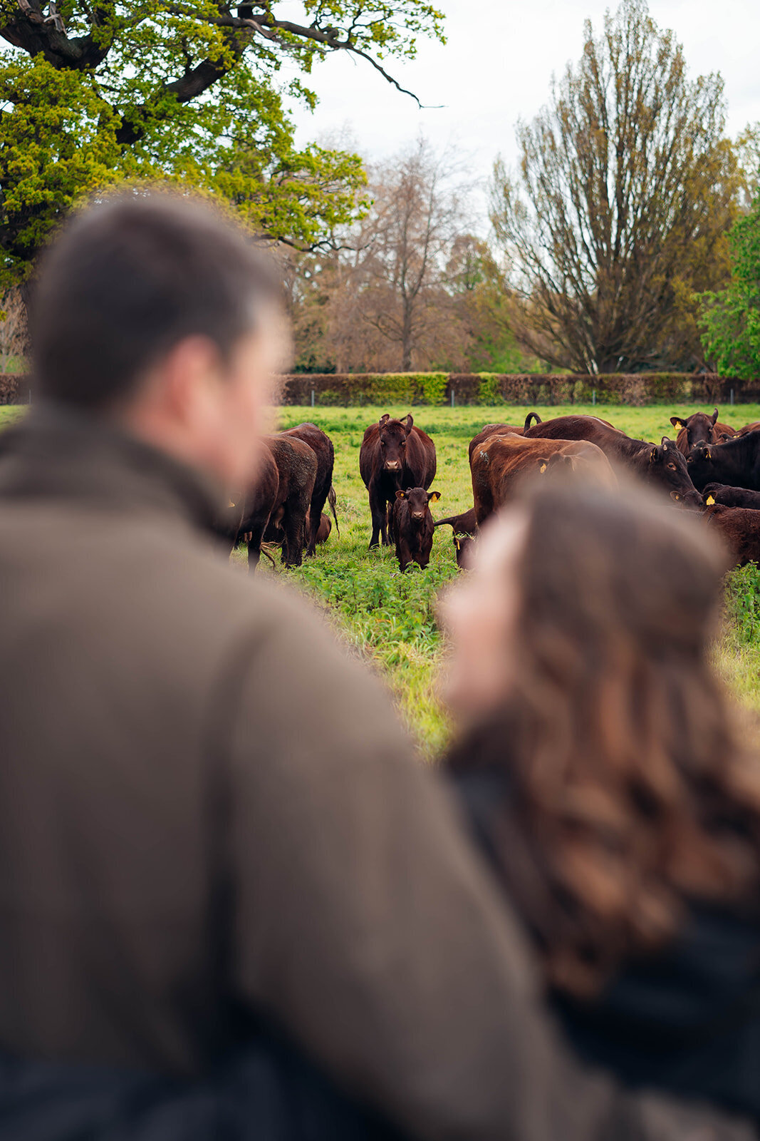 Liah_Peter_EmilyCollettPhotography0159_websize