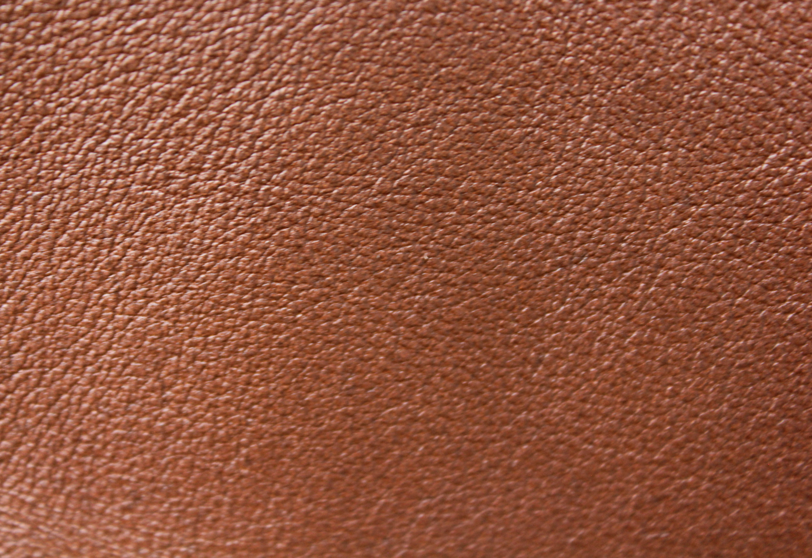 Amadeus Canyon Leather