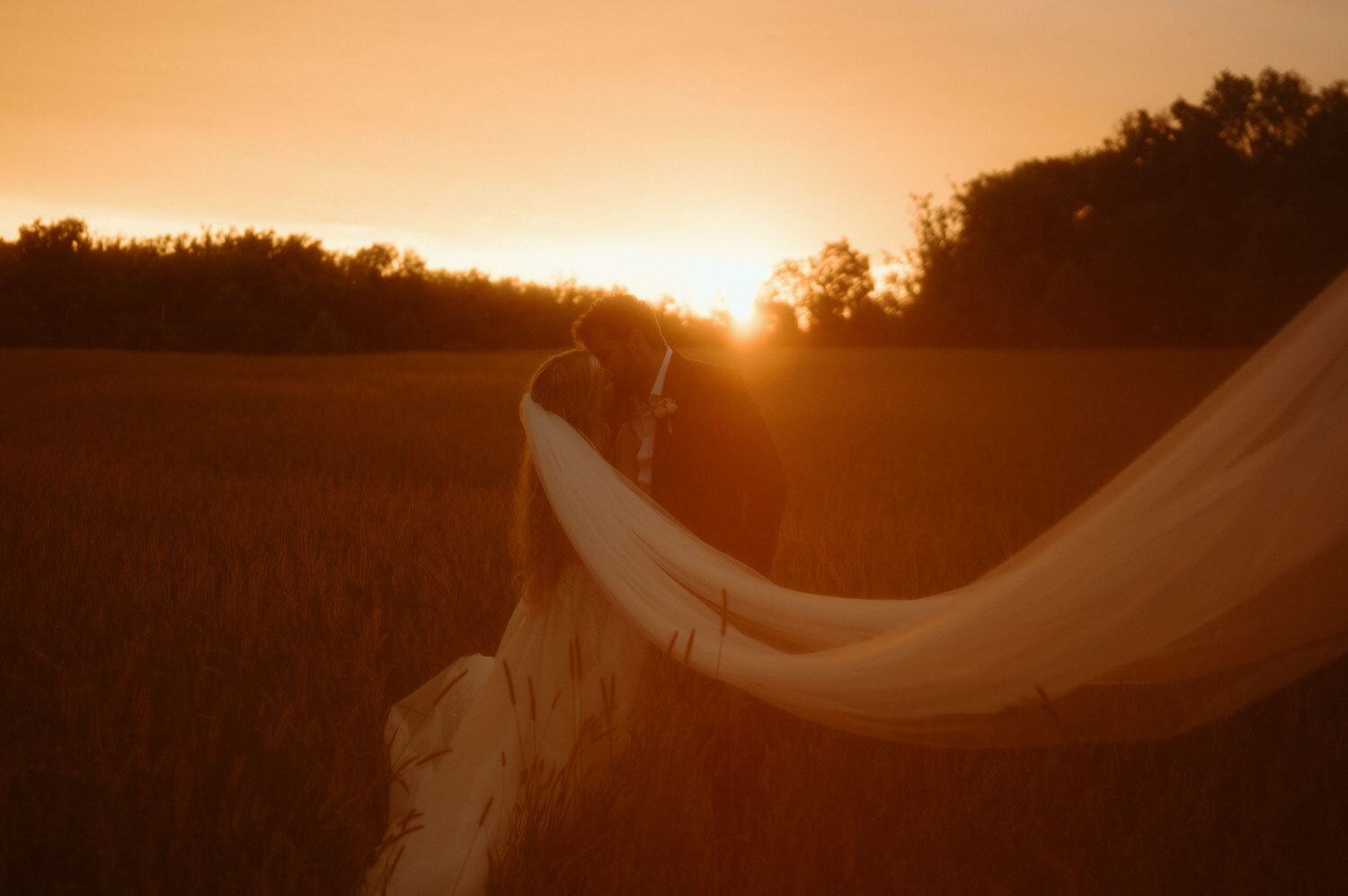 bride and groom kissing in a field at sunset