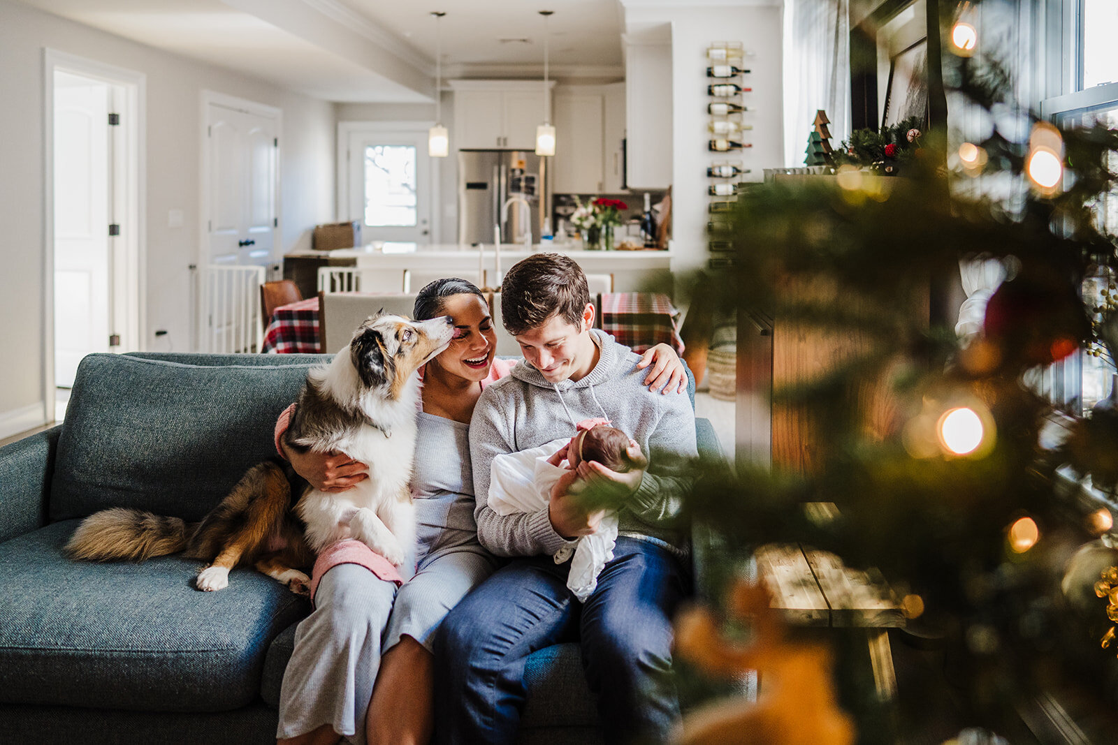 family with new baby sits with dog by christmas tree