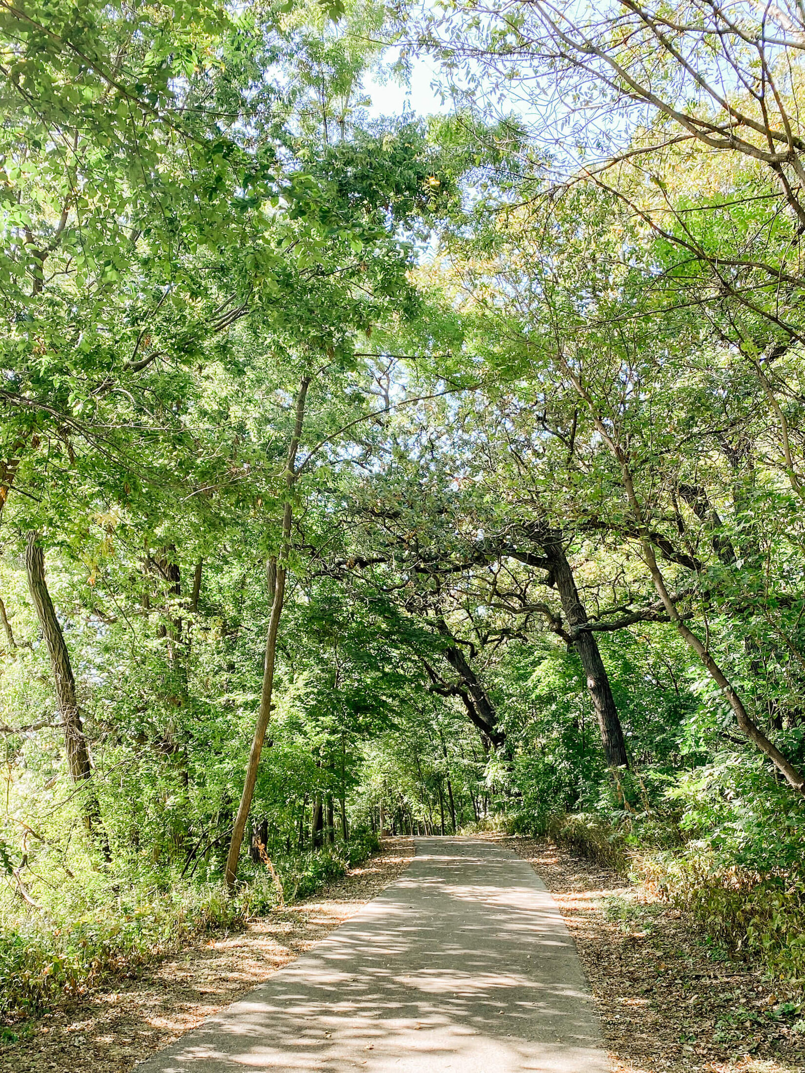 Vilas Neighborhood-3
