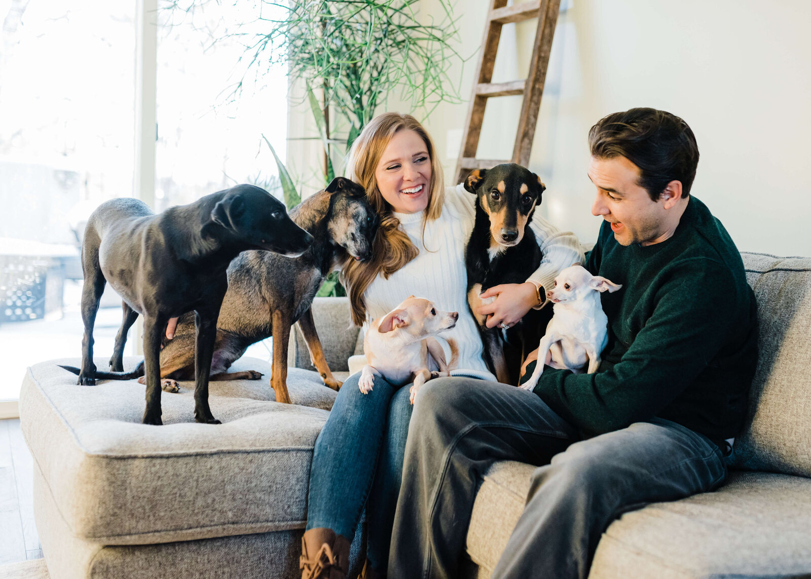 Husband and wife sit on a couch together with their 5 dogs