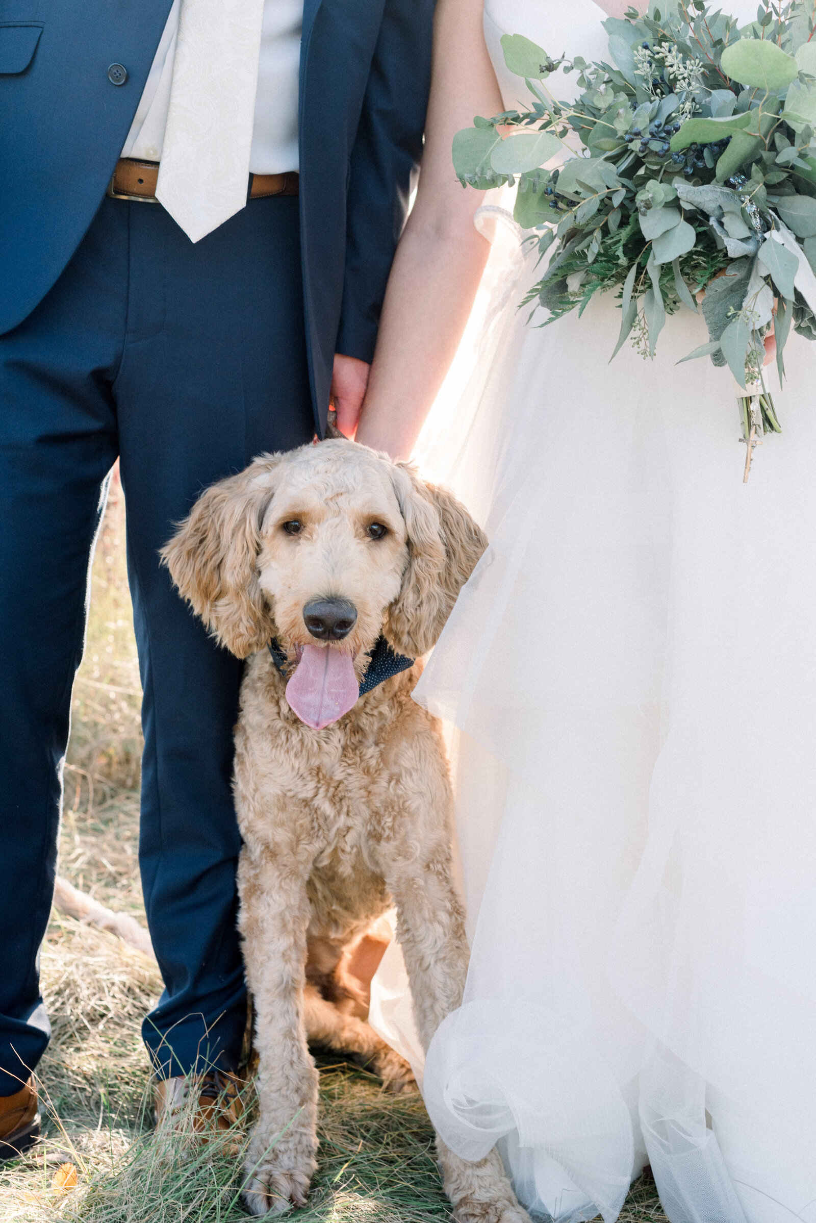 sarah-elizabeth-studio-ohio-wedding-photographer-jordan-jennifer-bride-groom-133