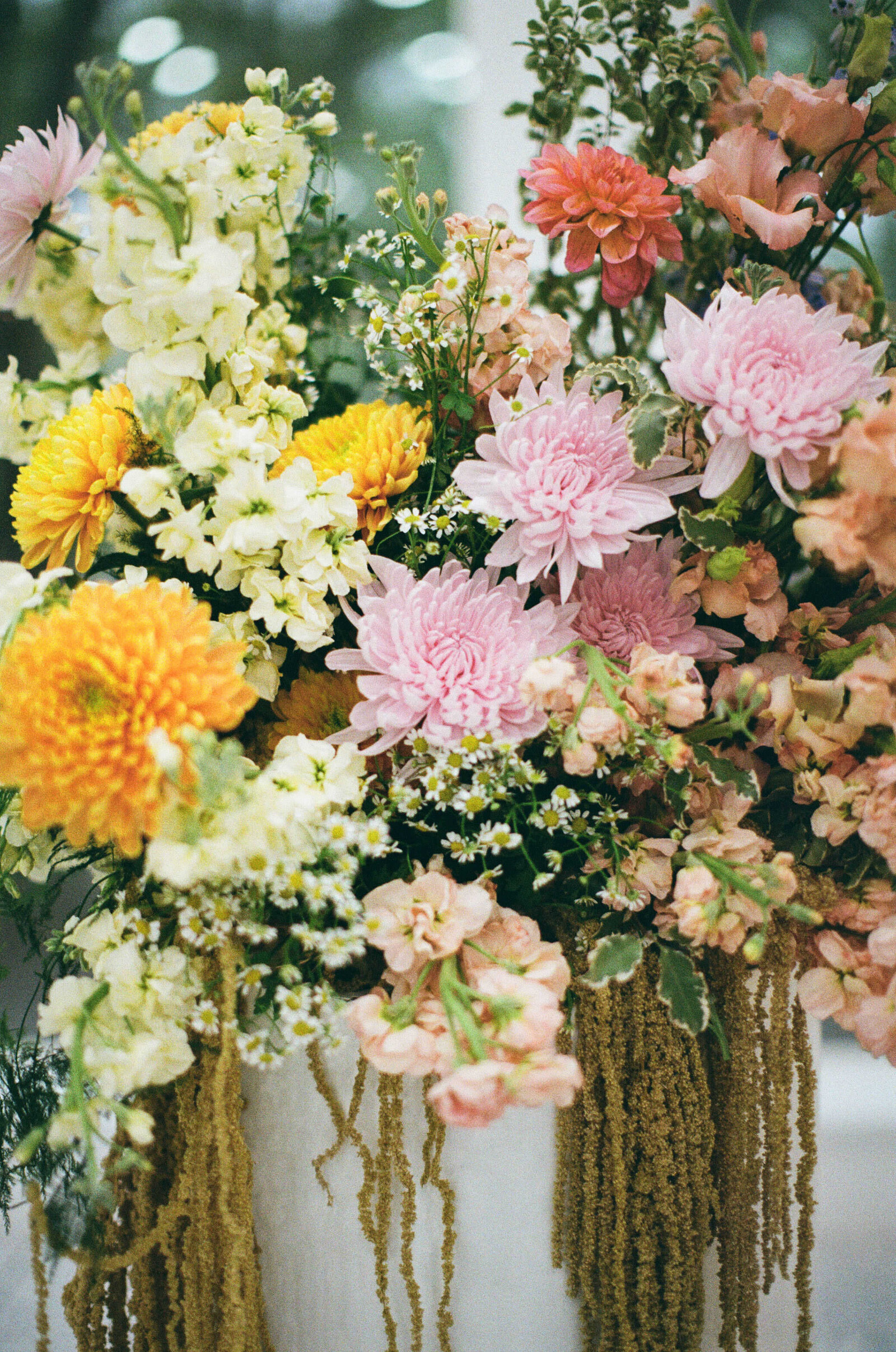Fuji 200 2-12