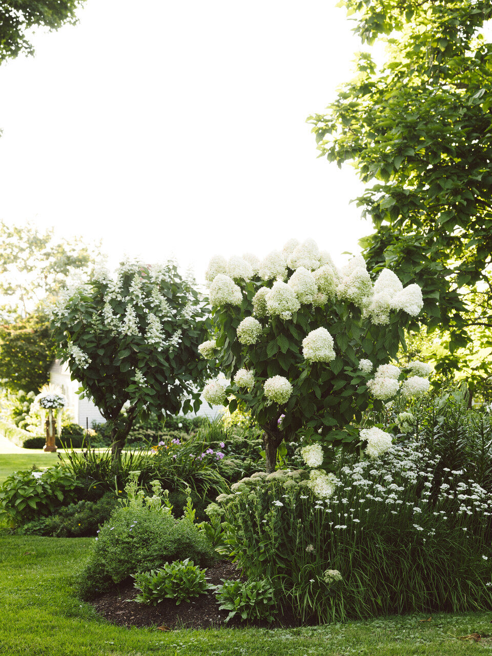 LionRock Farm Wedding_Jubilee Events_0005