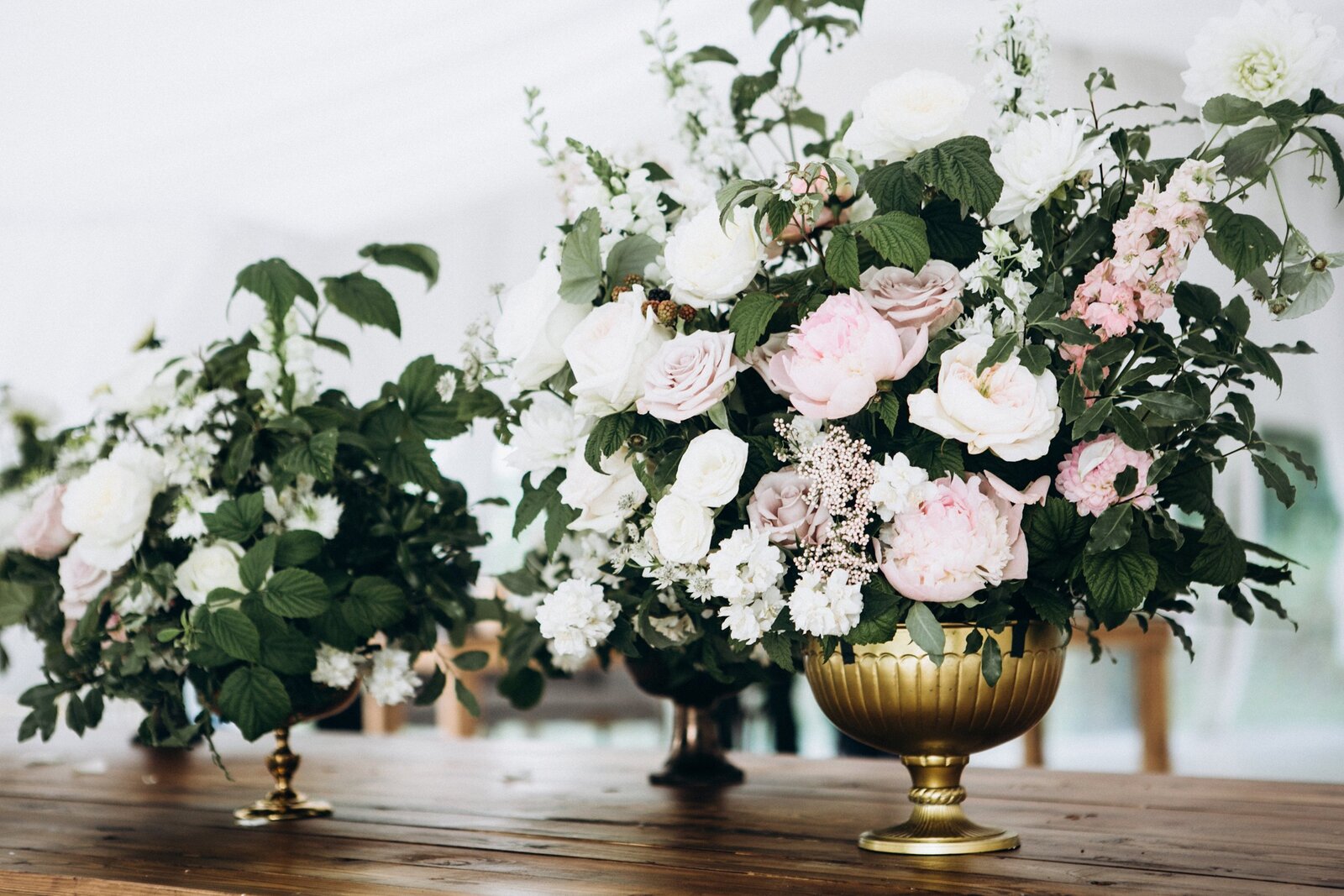 San Diego blush and blue wedding gallery