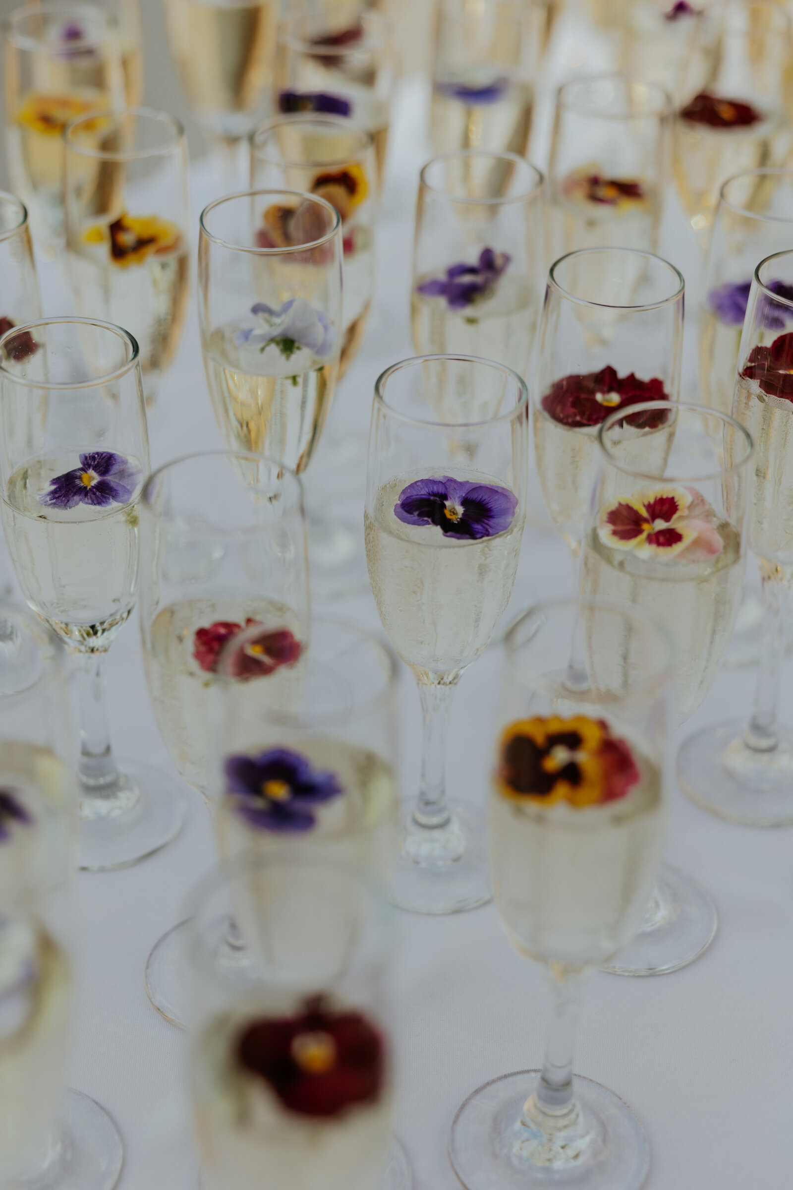 Lauritzen-Gardens-Wedding-402-Events-Julia & Connor  (34)
