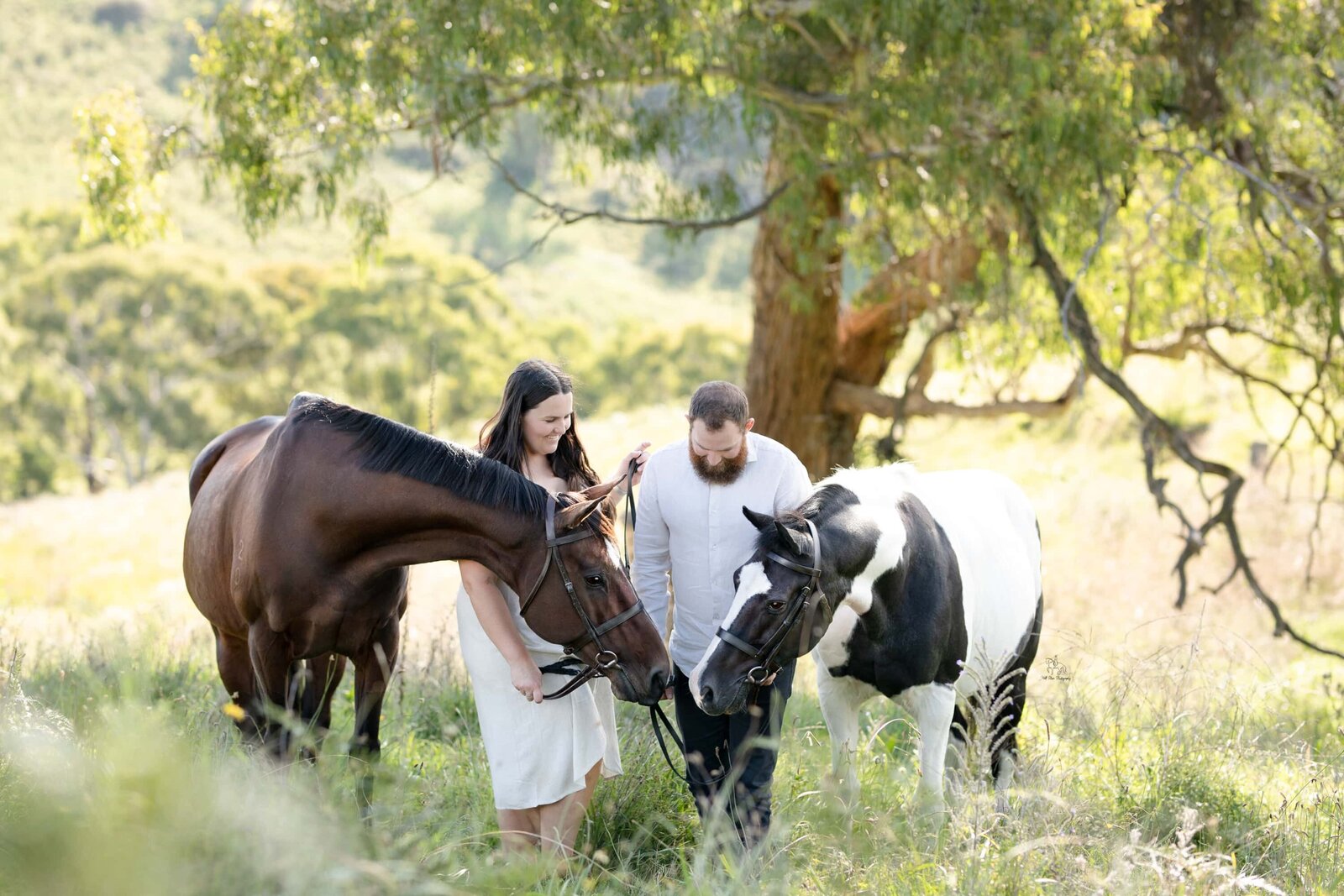 (41) Lithgow equestrian engagement photoshoot