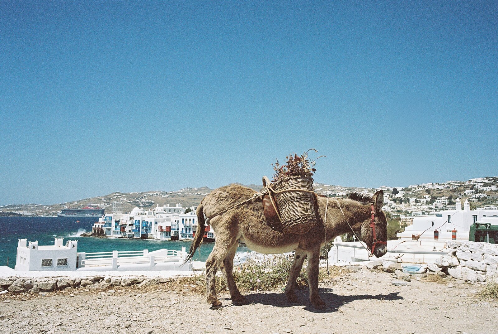 Casie Marie Photography - En Europe-23