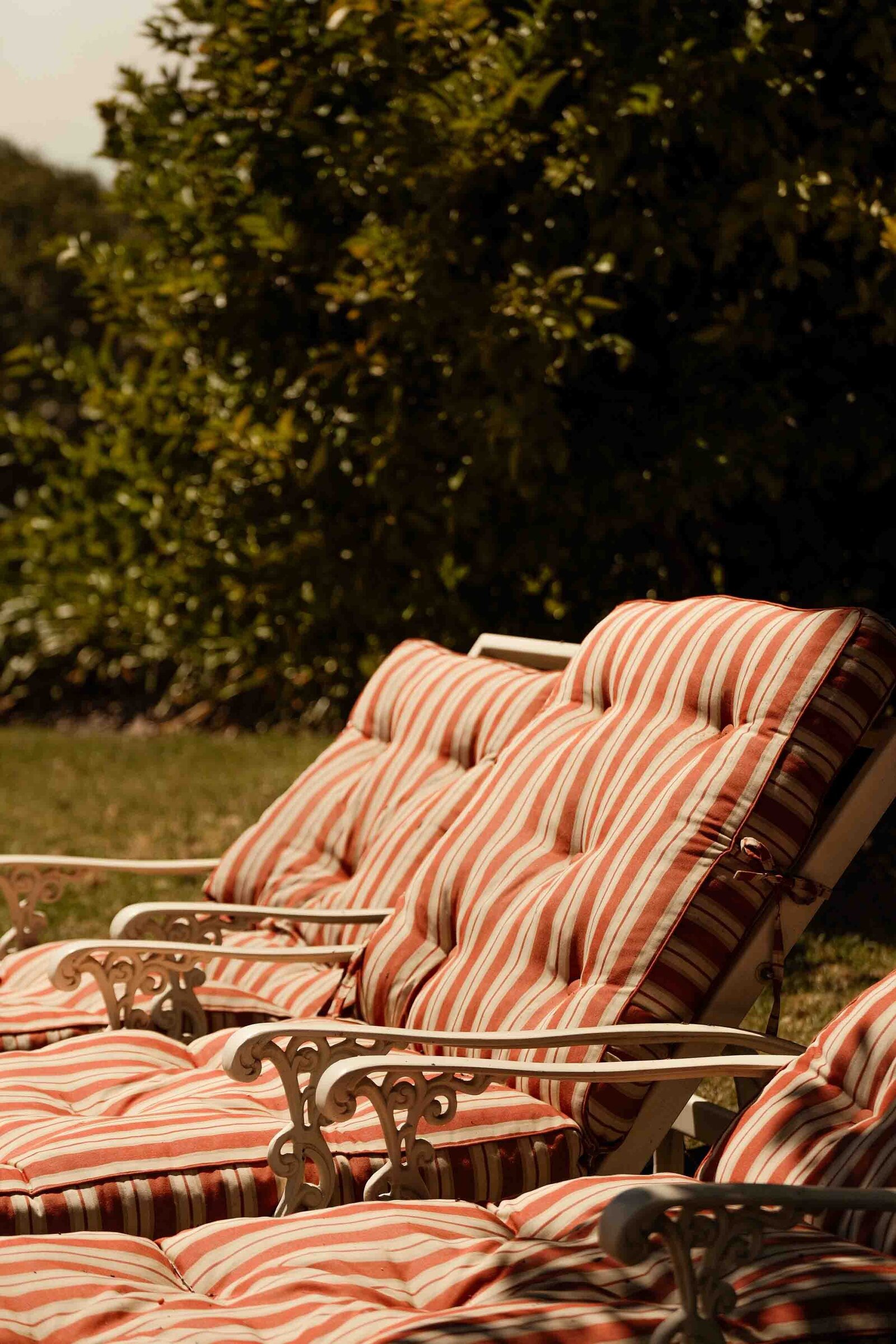 Destination-Wedding-Photographer-Cape-Town-FOMO-Fotografie-211