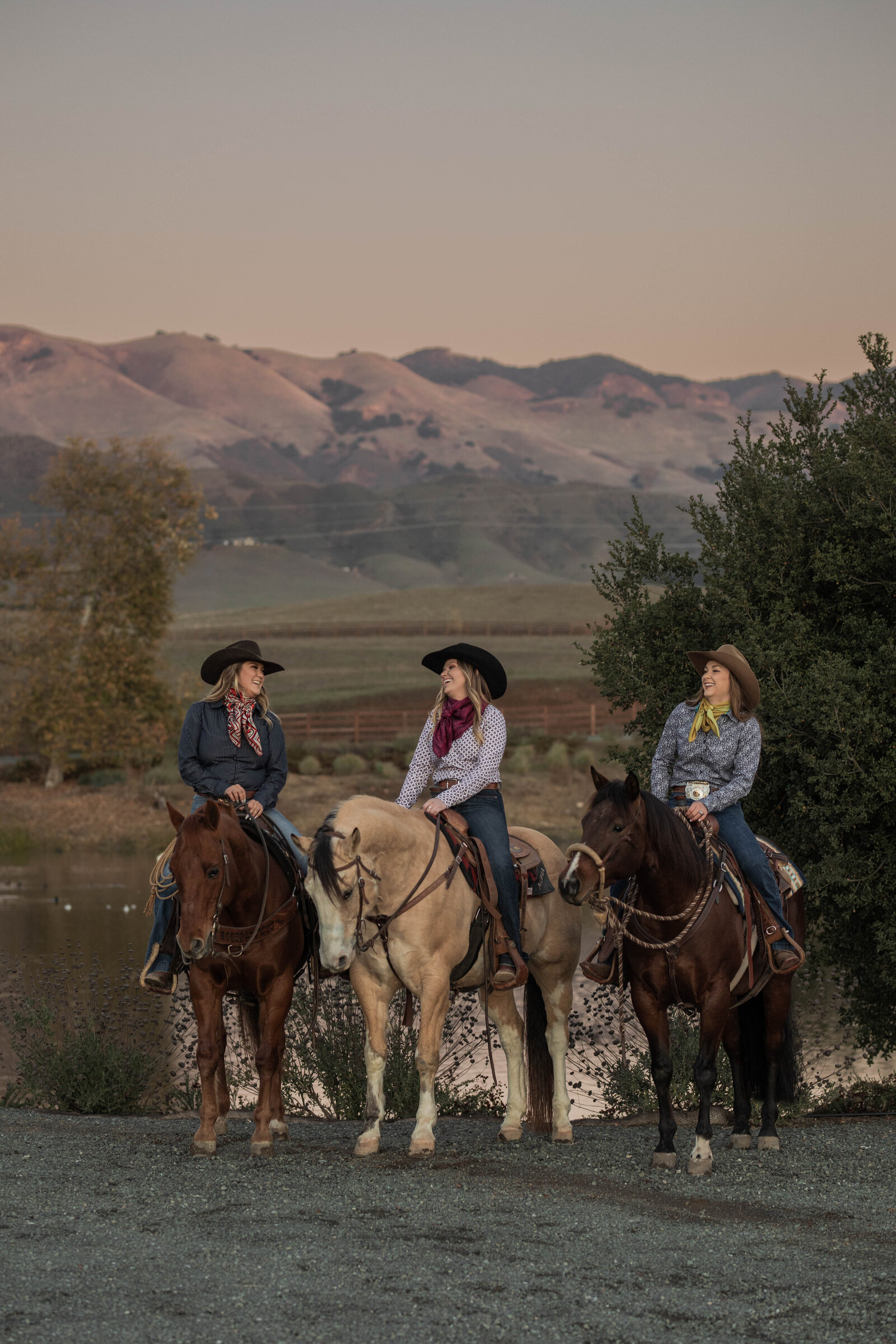 California Equine Photographer