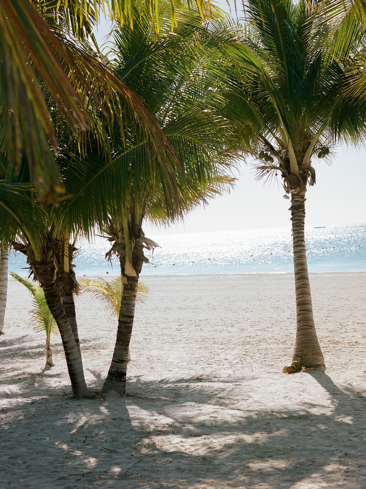 AmandaYoung.Mexico.SB00026