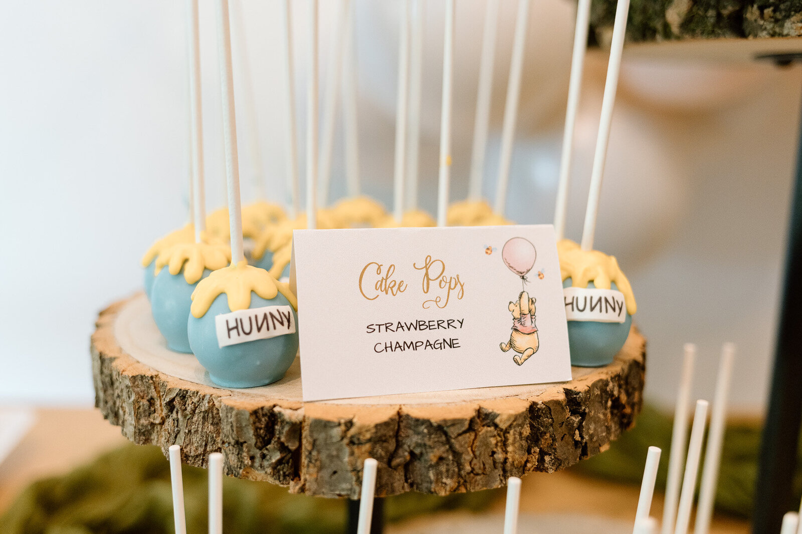 winnie-the-pooh-smash-cake-party-photography (8)