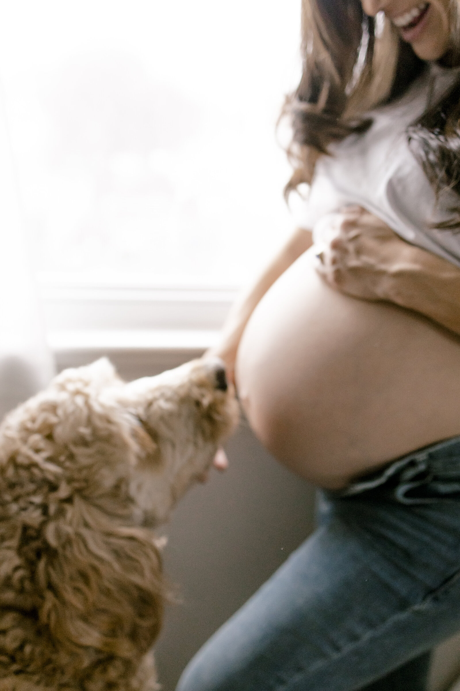 Dog and expectant mother