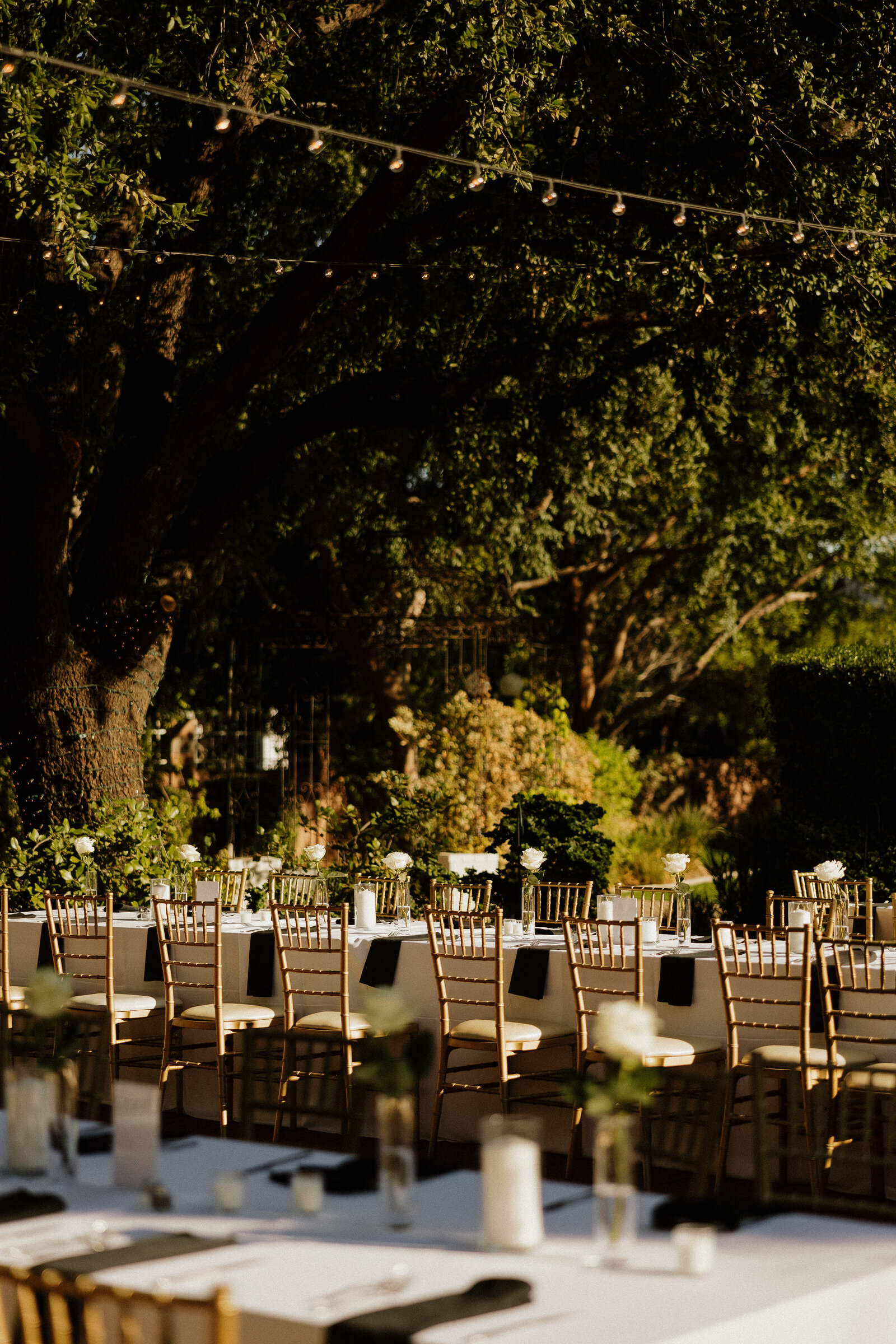 Emilieeleanorphotography-26067