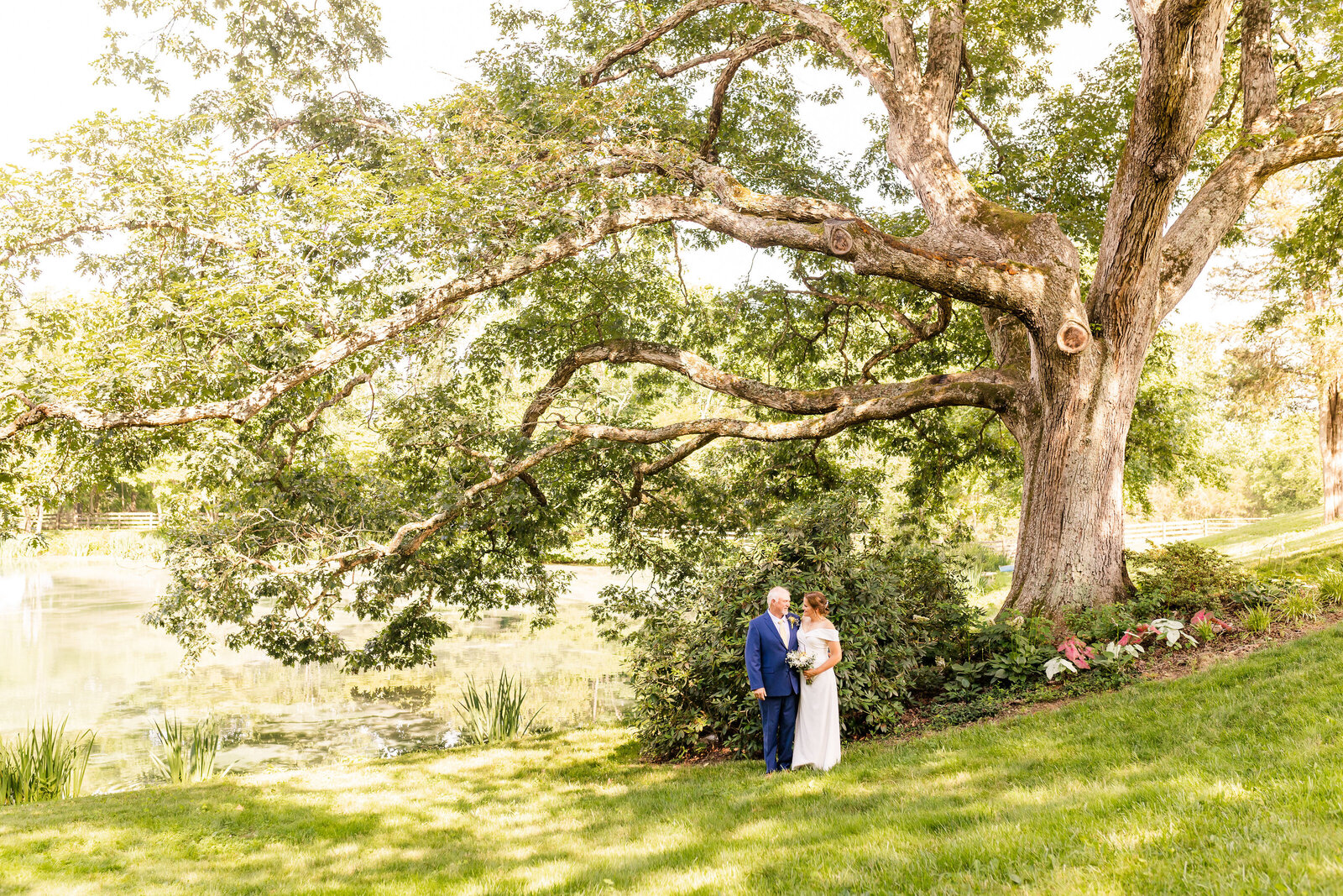 Bride and groom in front of a historic tree in Madison County Virginia