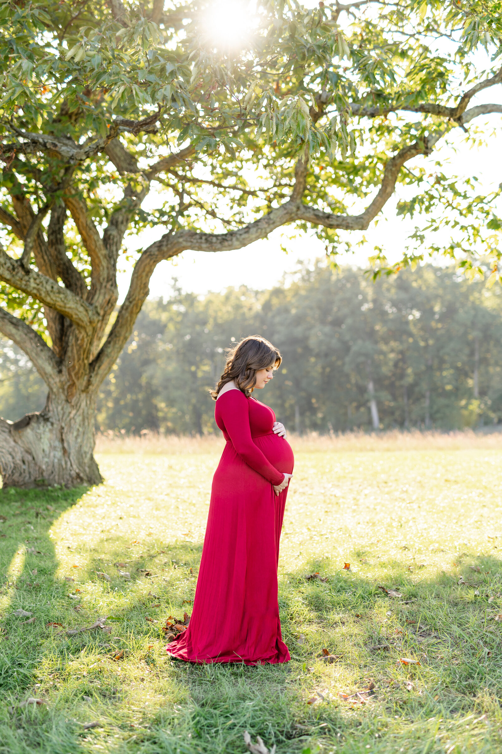 Northern-Virginia-Maternity-Photographer-14