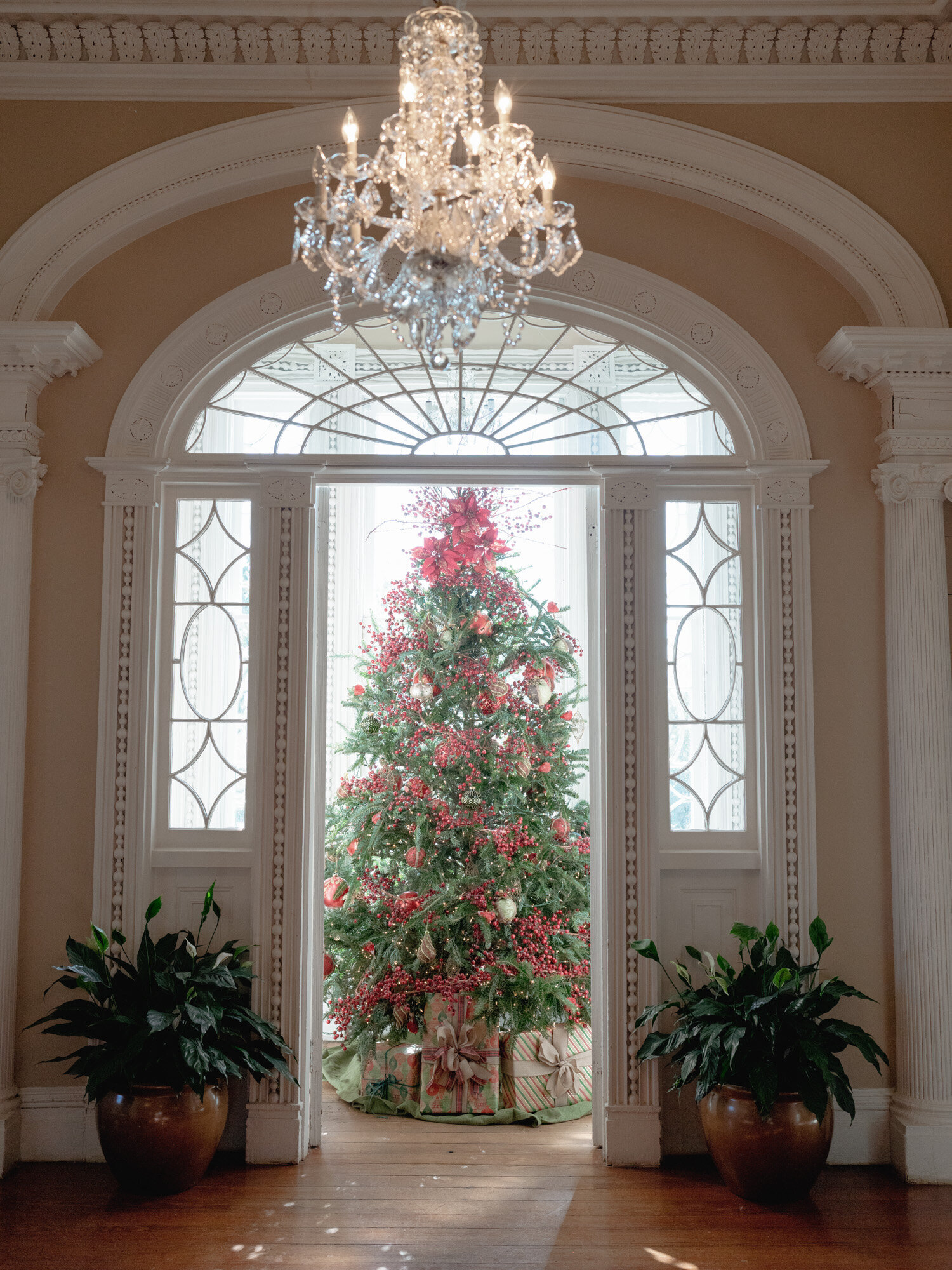 Charleston-Christmas-Wedding-2