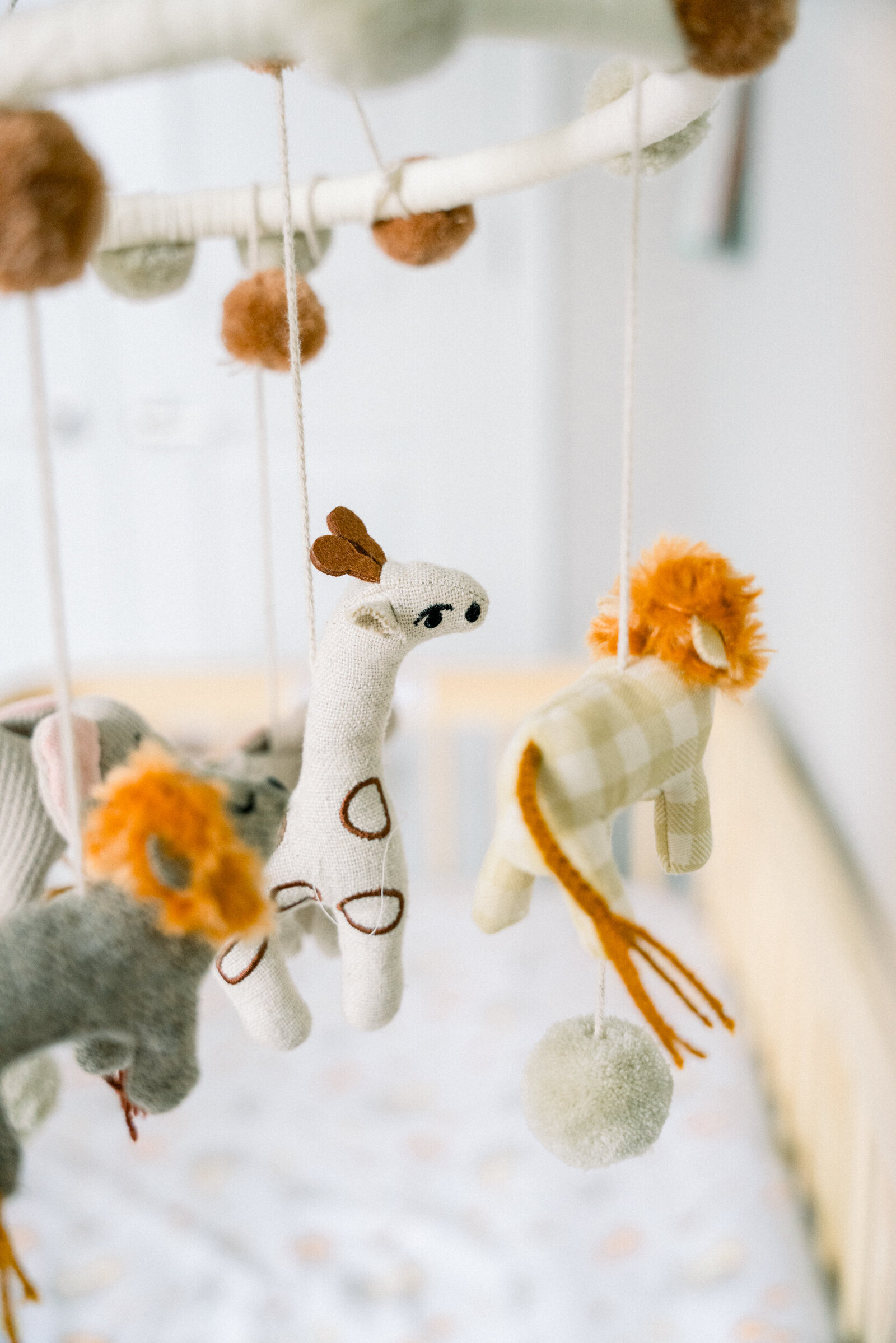morristown-newborn-pictures-35