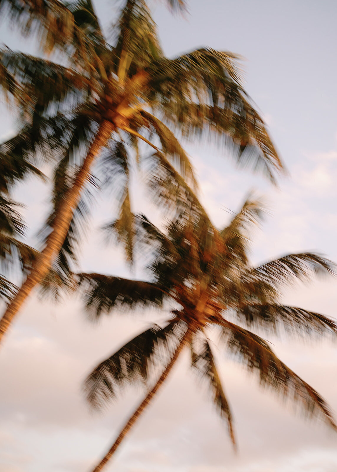 9.12-Sydney-John-Sugar-Beach-Maui-Wedding-910