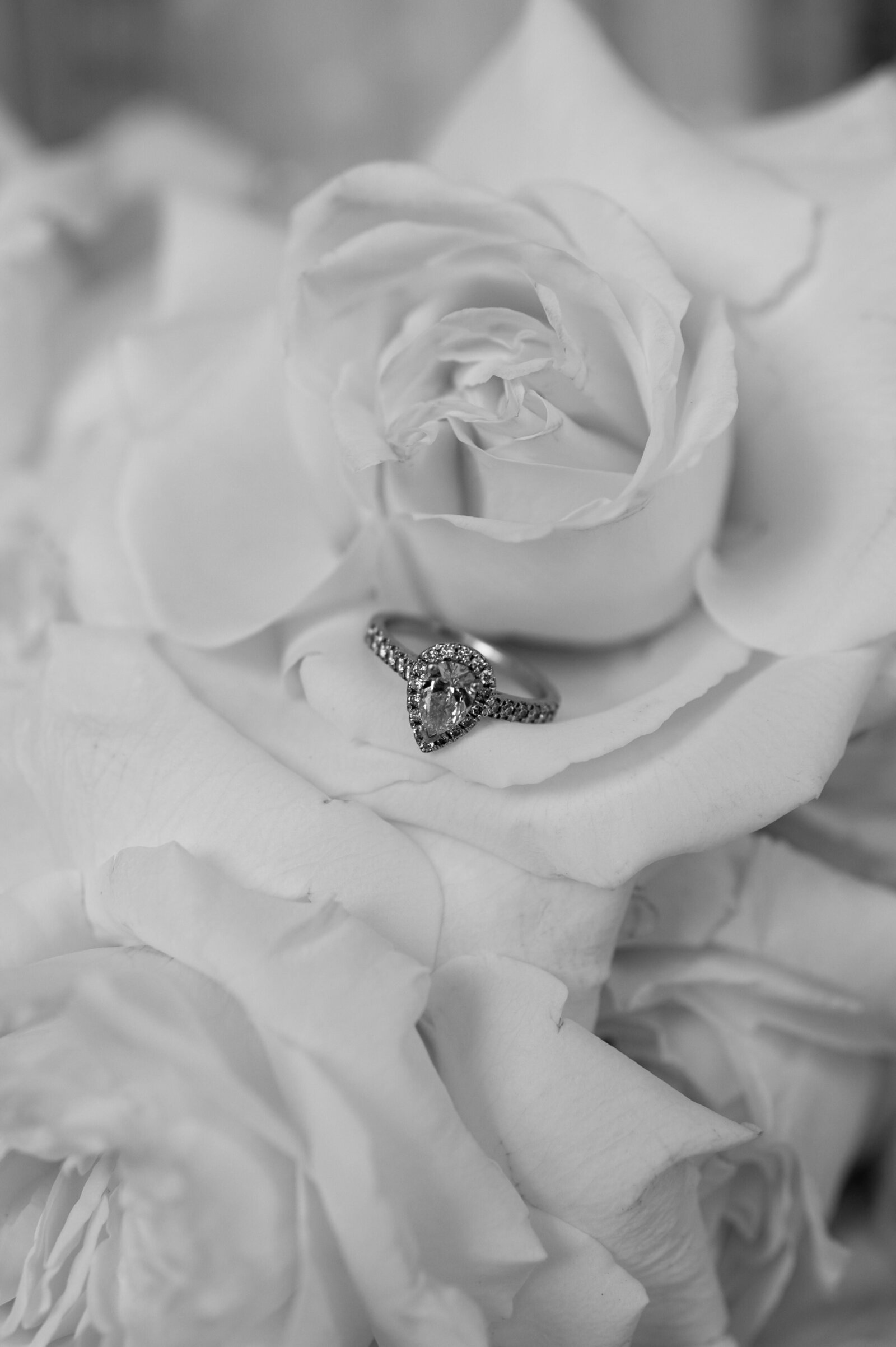 SneakPeek_0005