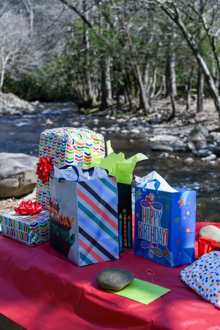 Birthday Photography Gatlinburg TN