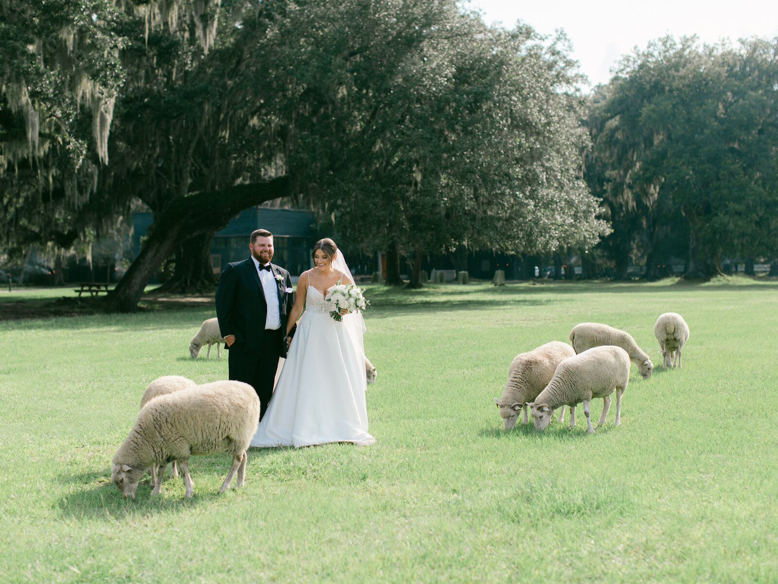 37-torianna-brooke-portraiture-middleton-place-charleston-sc-wedding