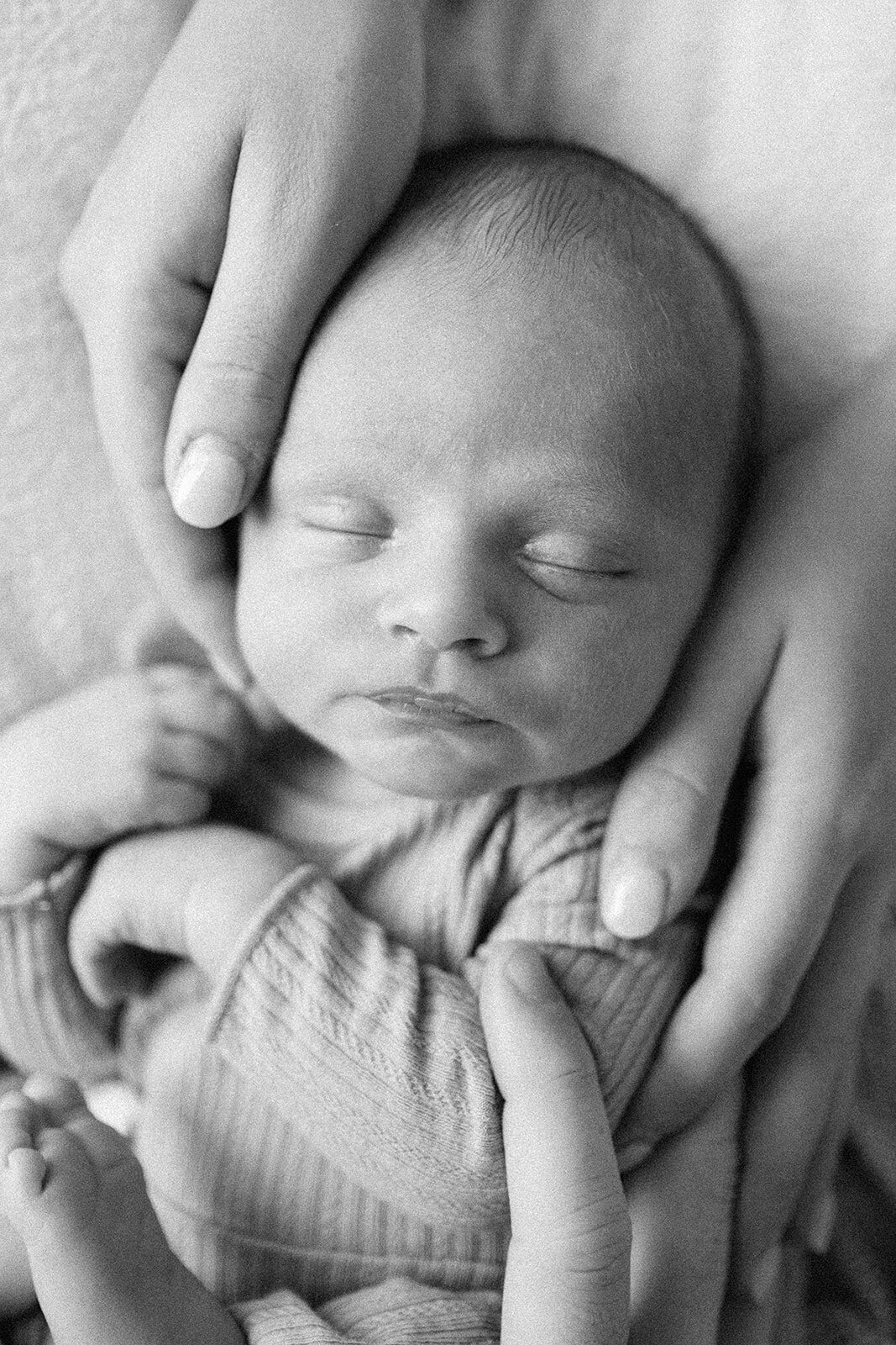newborn photos melbourne